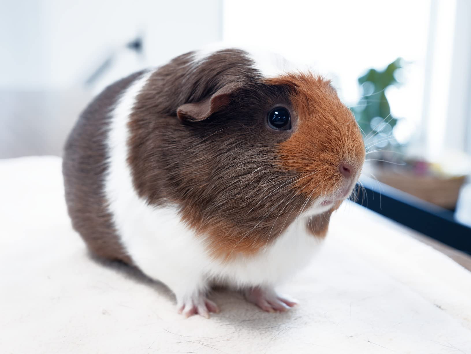 Panasonic LUMIX GH6 Mirrorless Micro Four Thirds Camera customer photo 1