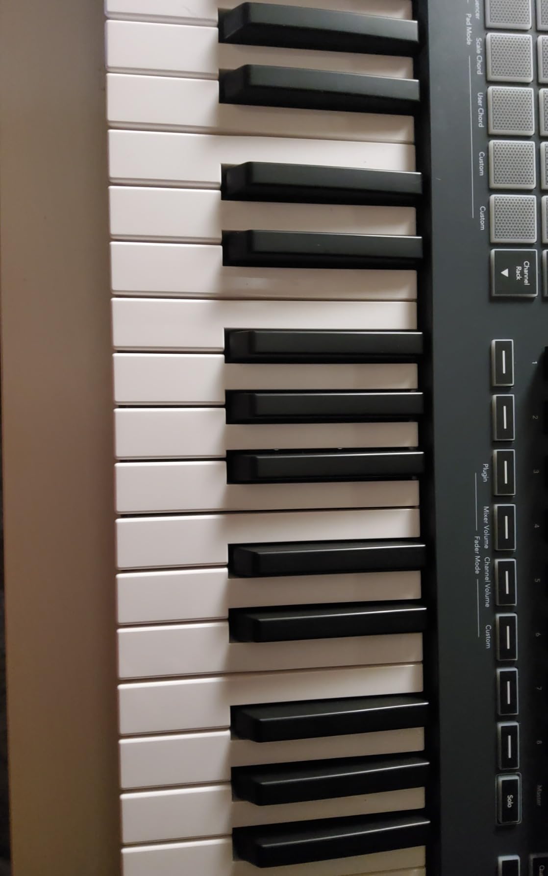 Novation FLkey Mini - Portable 25-Key, USB, MIDI Keyboard Controller with FL Studio Integration for Music Production customer photo 2