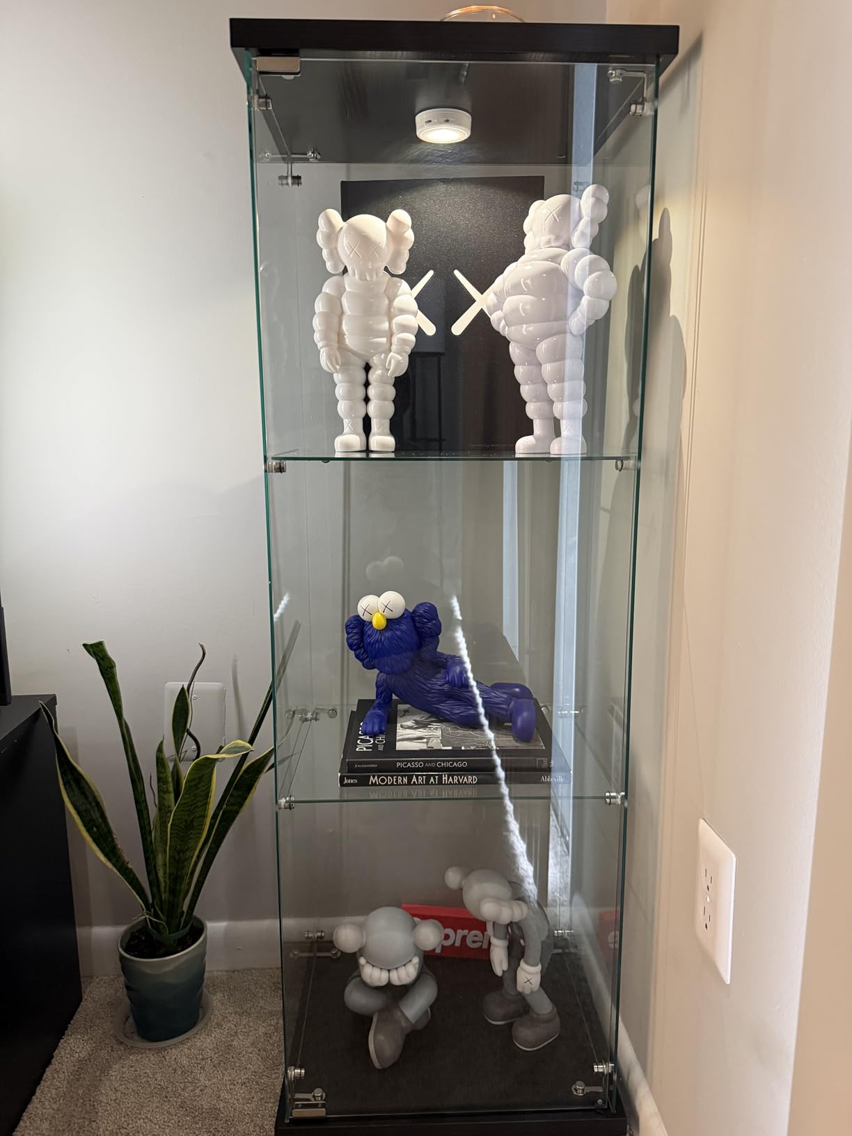 Beauty4U Glass Display Cabinet with 4 Shelves, Curio Cabinets for Living Room, Bedroom, Office, Black Floor Standing Glass Bookshelf, Quick Installation customer photo 1