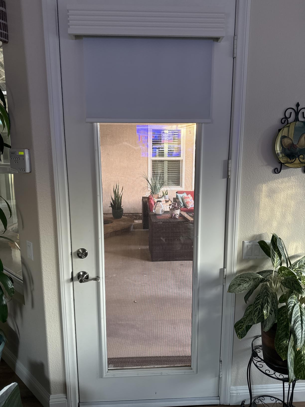 Allesin Motorized Blinds with Remote | Automatic Blackout Roller Shades, Easy Install & Smart Control Electric Blinds for Home Office, Living Room customer photo 2