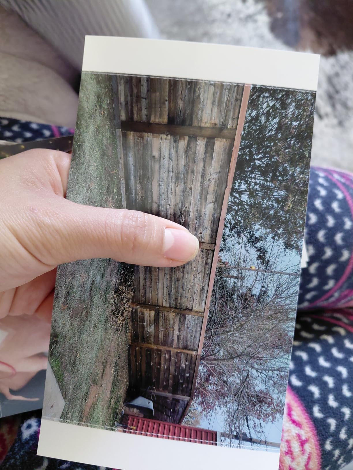 Liene M100 4x6'' Photo Printer, Phone Printer 100 Sheets & 3 Cartridges, Full-Color Photo, Portable Instant Photo Printer for iPhone Android, Thermal Dye Sublimation, Wi-Fi Picture Printer customer photo 2