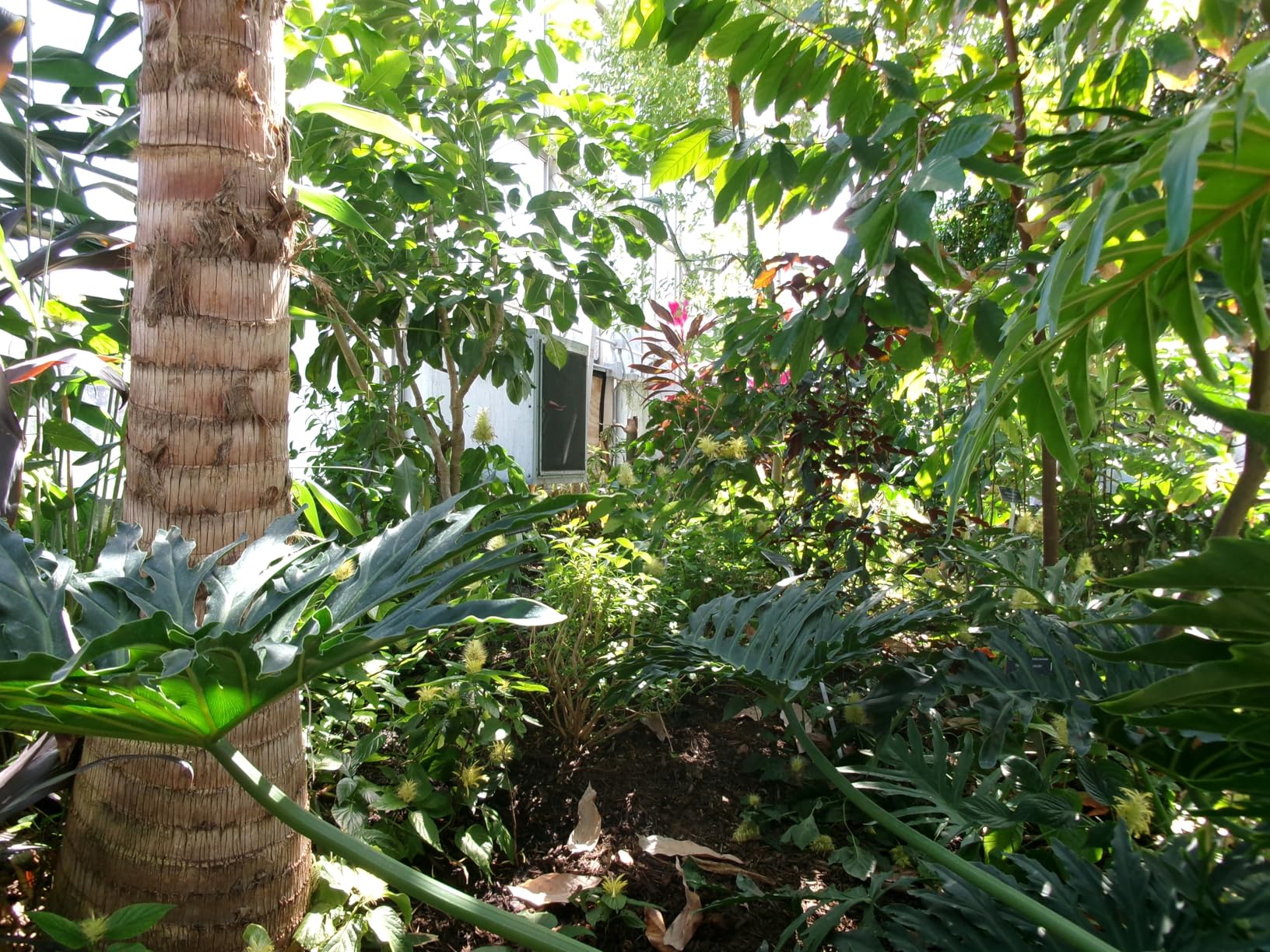 Kodak PIXPRO FZ55-BK 16MP CMOS Sensor Digital Camera 5X Optical Zoom 28mm Wide Angle 1080P Full HD Video 2.7