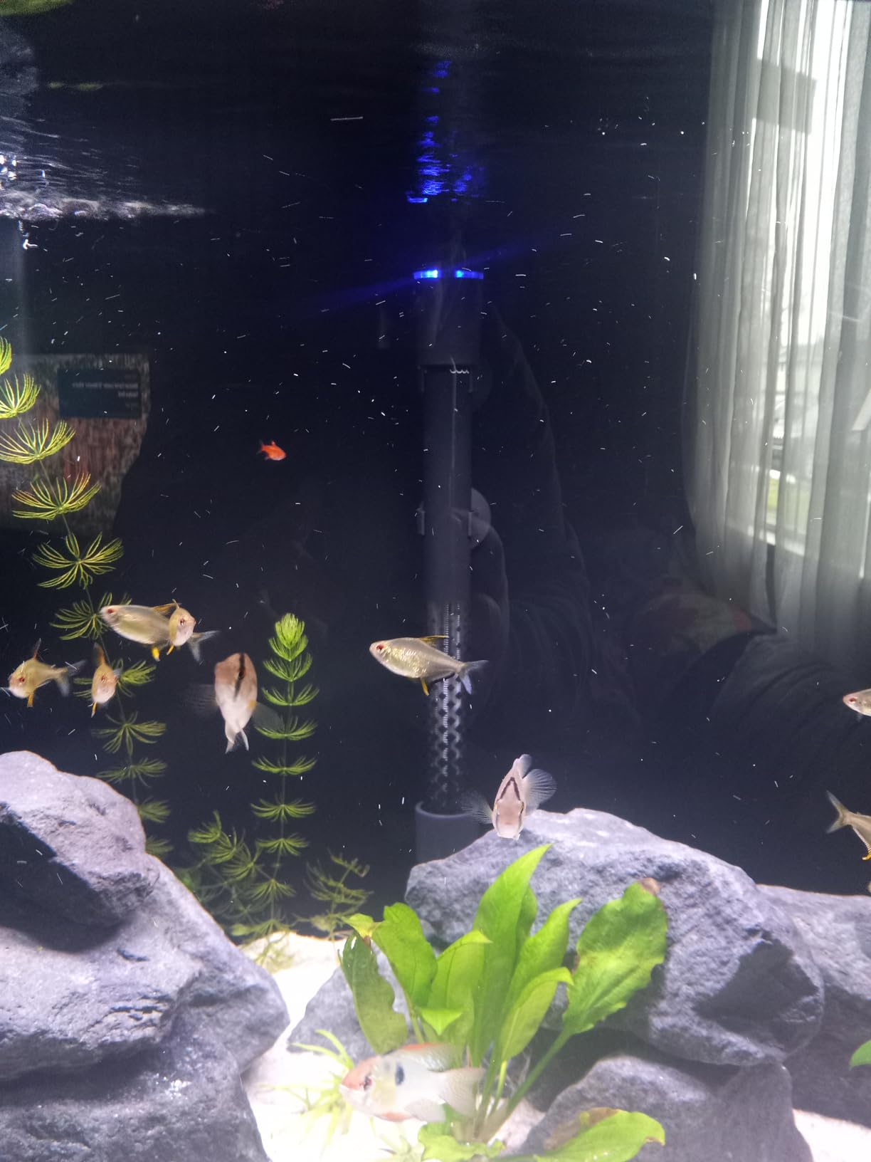 Fluval T200 Fully Electronic Heater for Freshwater Aquariums up to 65 Gal customer photo 1