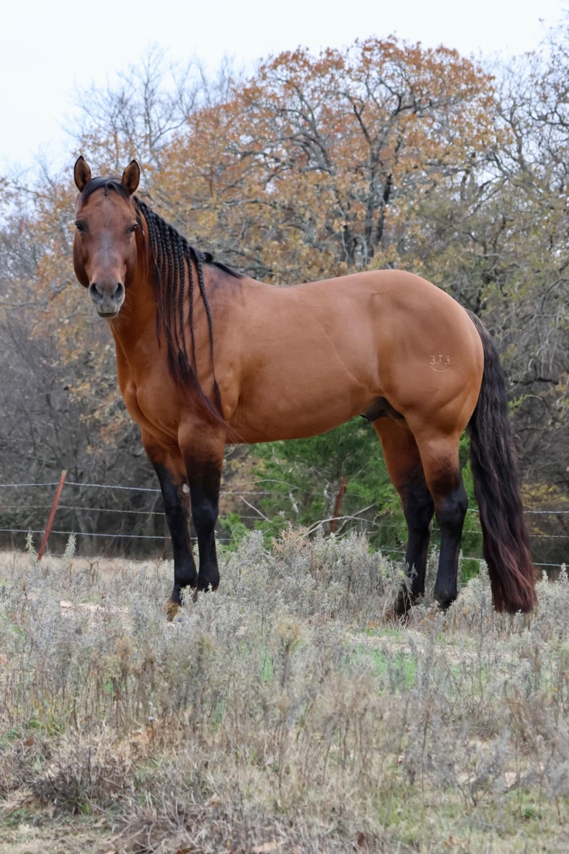 Canon EOS R7 RF-S18-150mm F3.5-6.3 IS STM Lens Kit, Mirrorless Vlogging Camera, 32.5 MP Image Quality, 4K 60p Video, DIGIC X Image Processor, Dual Pixel CMOS AF, Subject Detection, Content Creators customer photo 1