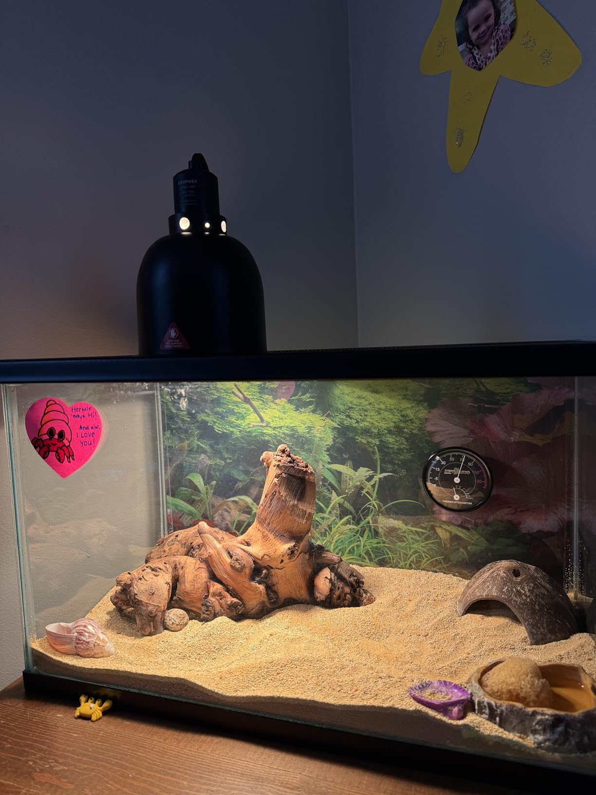 REPTI ZOO 2 Pack Heat Lamp 100W, Intense Basking Spot Simulated Natural Sunlight Heating Lamp Bulb, Heat Emitter UVA Heat Lamp Bulb for Reptile Chickens Pet Brooder customer photo 1