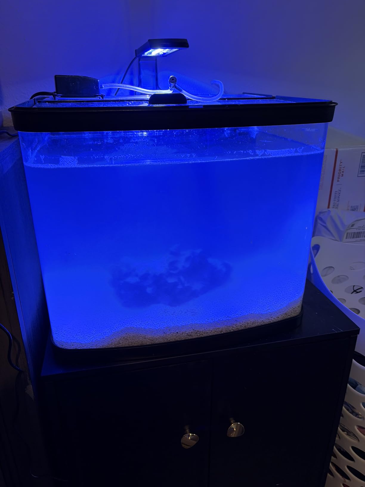 NICREW Marine Clip on Aquarium Light, Saltwater Fish Tank Light for Coral Reef Tanks with LCD Timer, 2 Lighting Modes customer photo 2