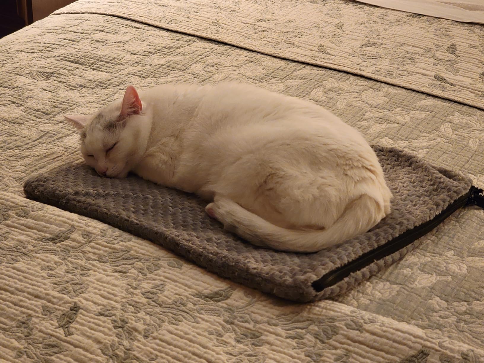 INVENHO Heated Dog Bed, Waterproof Adjustable Temperature Dog Cat Heating Pad with Timer, Indoor Pet Heating Pad for Cats Dogs Electric Pads for Dogs Cats, Pet Heated Pad (M: 28