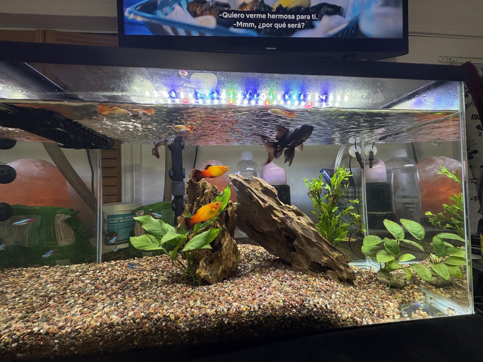 NICREW ClassicLED Plus LED Aquarium Light with Timer, Planted Fish Tank Light 18 Watts for 24-30 Inch, Daylight and Moonlight Cycle customer photo 2