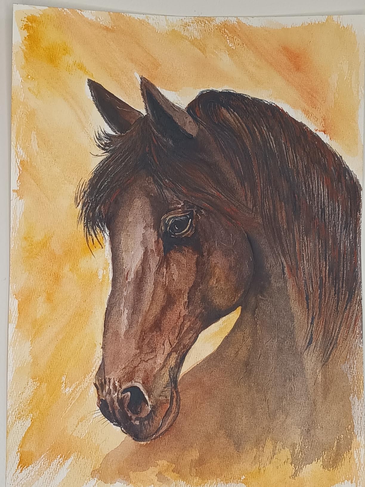 Aureday 14'' Selfie Ring Light with 62'' Tripod Stand and Phone Holder, Dimmable LED Phone Ringlight for Makeup/Video Recording/Photography, Circle Lighting for All Cell Phones&Lightweight Cameras customer photo 1