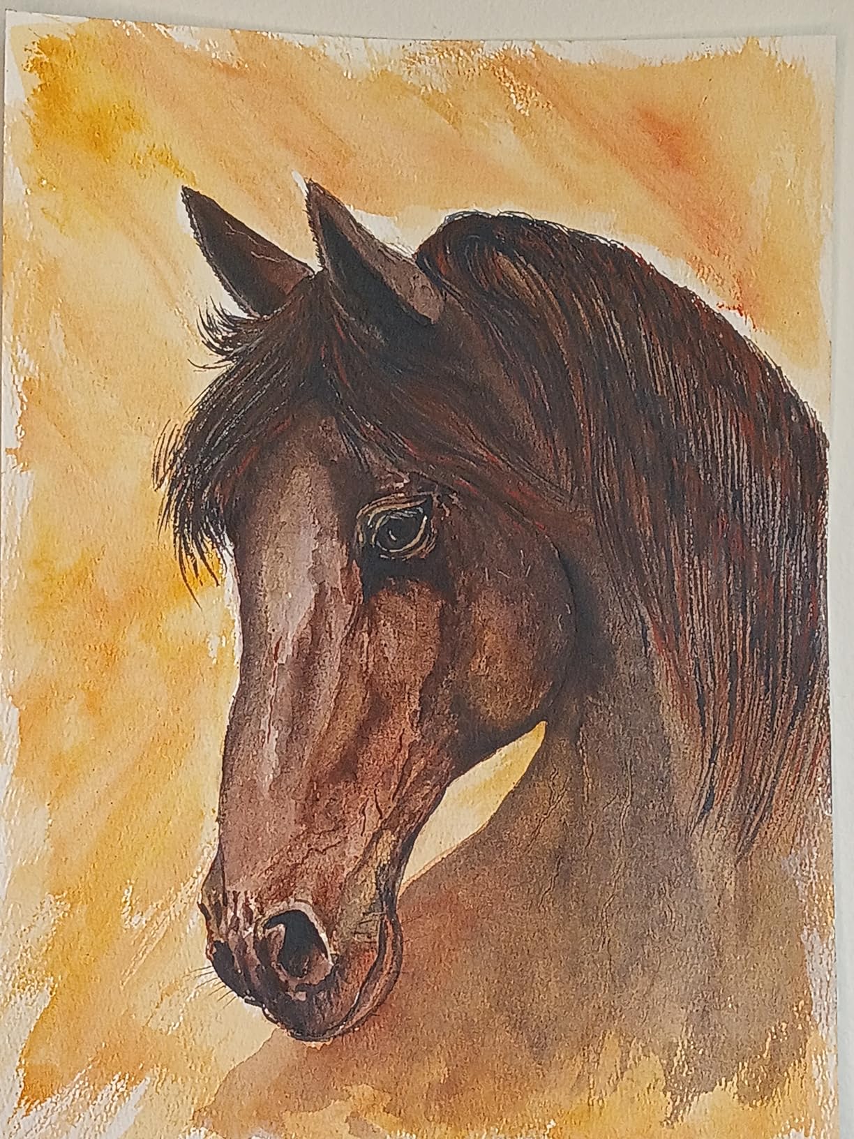 Aureday 14'' Selfie Ring Light with 62'' Tripod Stand and Phone Holder, Dimmable LED Phone Ringlight for Makeup/Video Recording/Photography, Circle Lighting for All Cell Phones&Lightweight Cameras customer photo 2