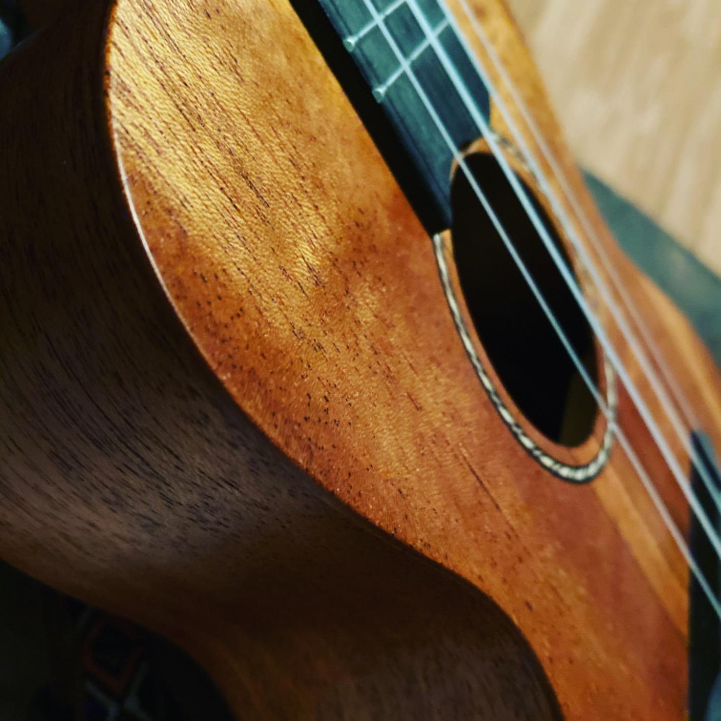 Donner Soprano Ukulele Mahogany 21 inch Ukelele Beginner Kit Online Lesson Gig Bag Strap Nylon String Tuner Picks Cloth DUS-1 Ukalalee Set Christmas Gift customer photo 2