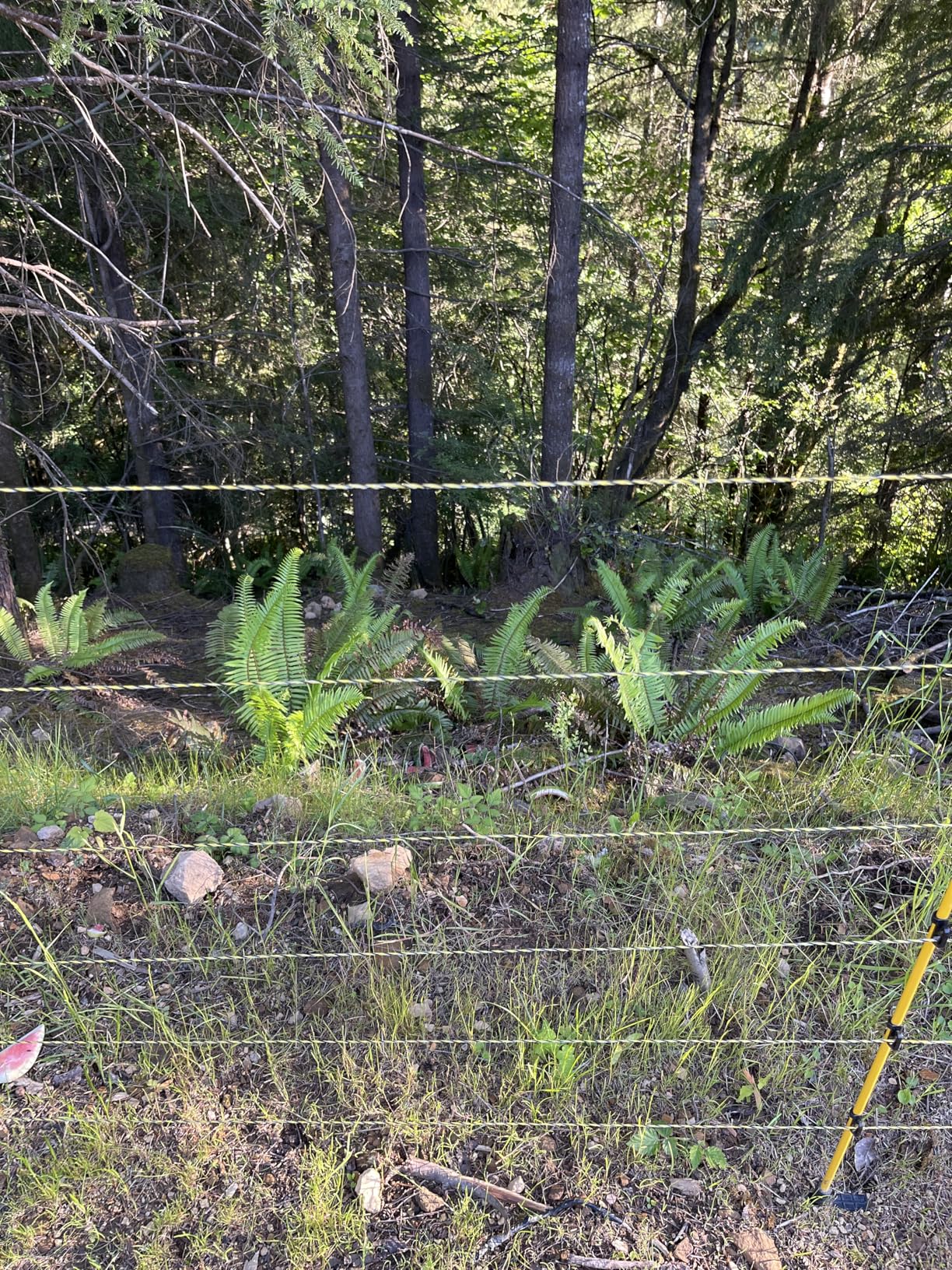 Upgraded Electric Fence Polywire 3366 Feet 1026 Meters, 6 Stainless Steel Strands for Reliable Conductivity and Rust Resistance, Portable Electric Fencing,UV, Rust Resistant customer photo 2