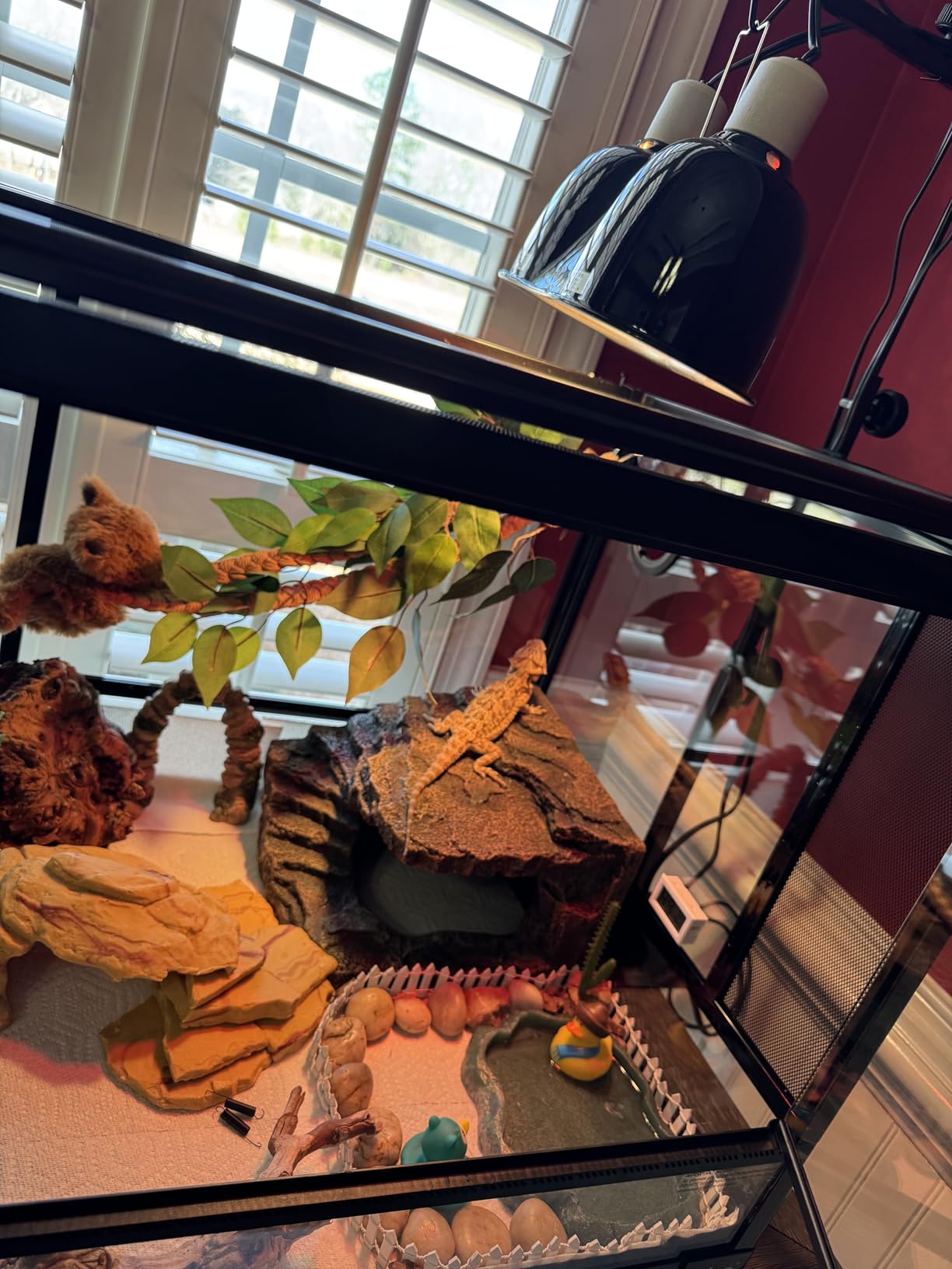 OIIBO Glass Reptile Terrarium, 40