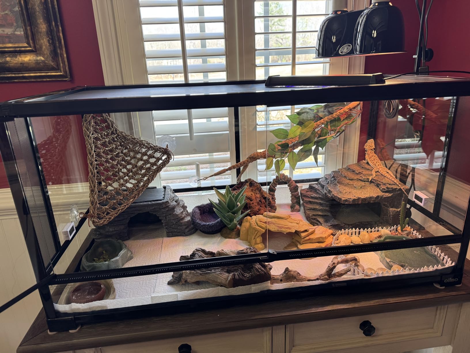 OIIBO Glass Reptile Terrarium, 40