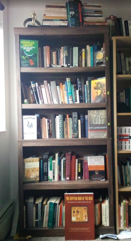 LINSY HOME 5-Shelf Bookcase, Bookshelves Floor Standing Display Storage Shelves 68 in Tall Bookcase Home Decor Furniture for Home Office, Living Room, Bed Room - Dark Brown customer photo 1