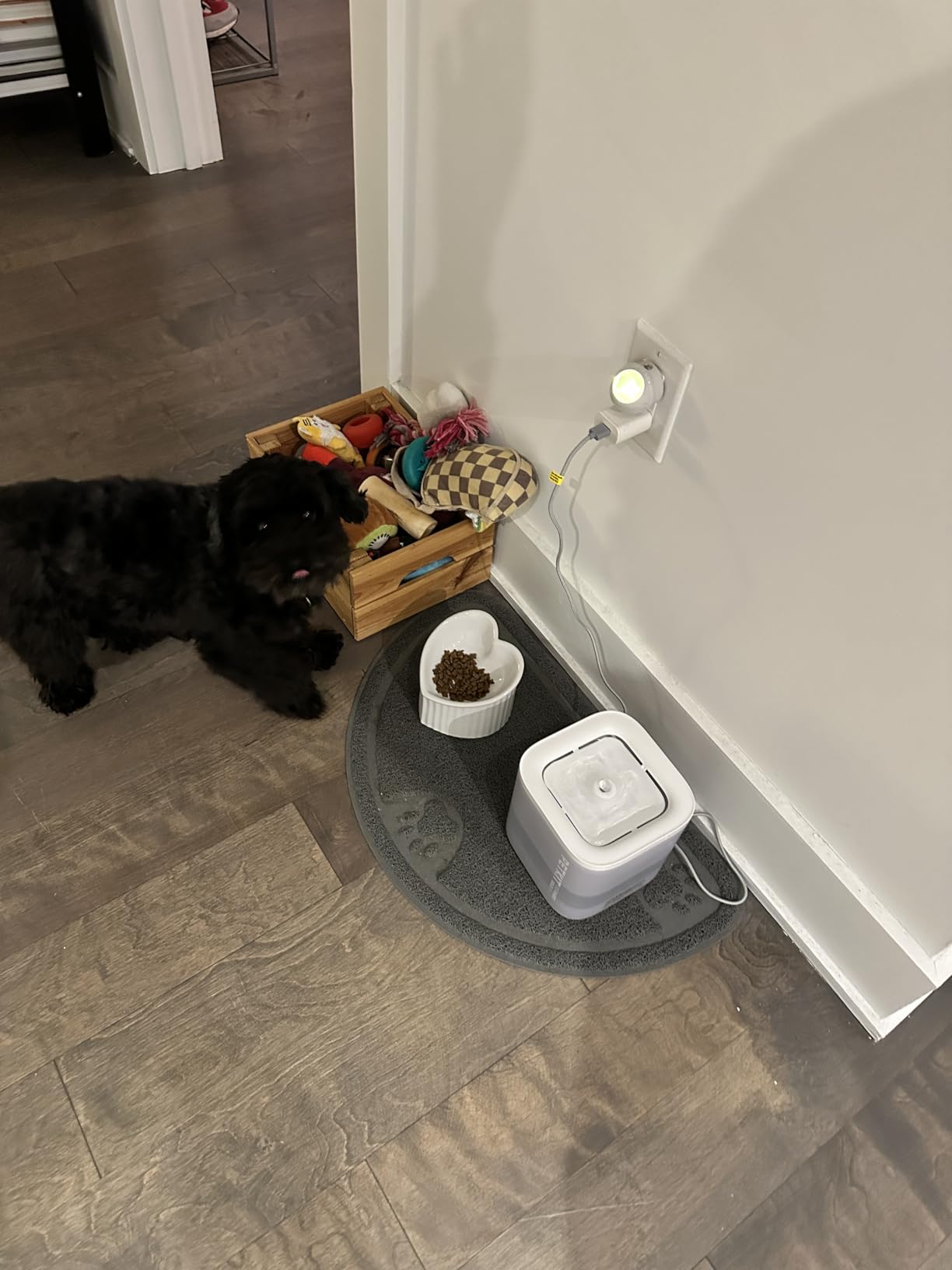 PETKIT New Cat Water Fountain with Wireless Pump, Ultra Quiet 65oz/1.85L Pet Water Fountain for Cats and Dogs Inside, Detachable Design Easy to Clean and Assemble, Filters Included customer photo 1