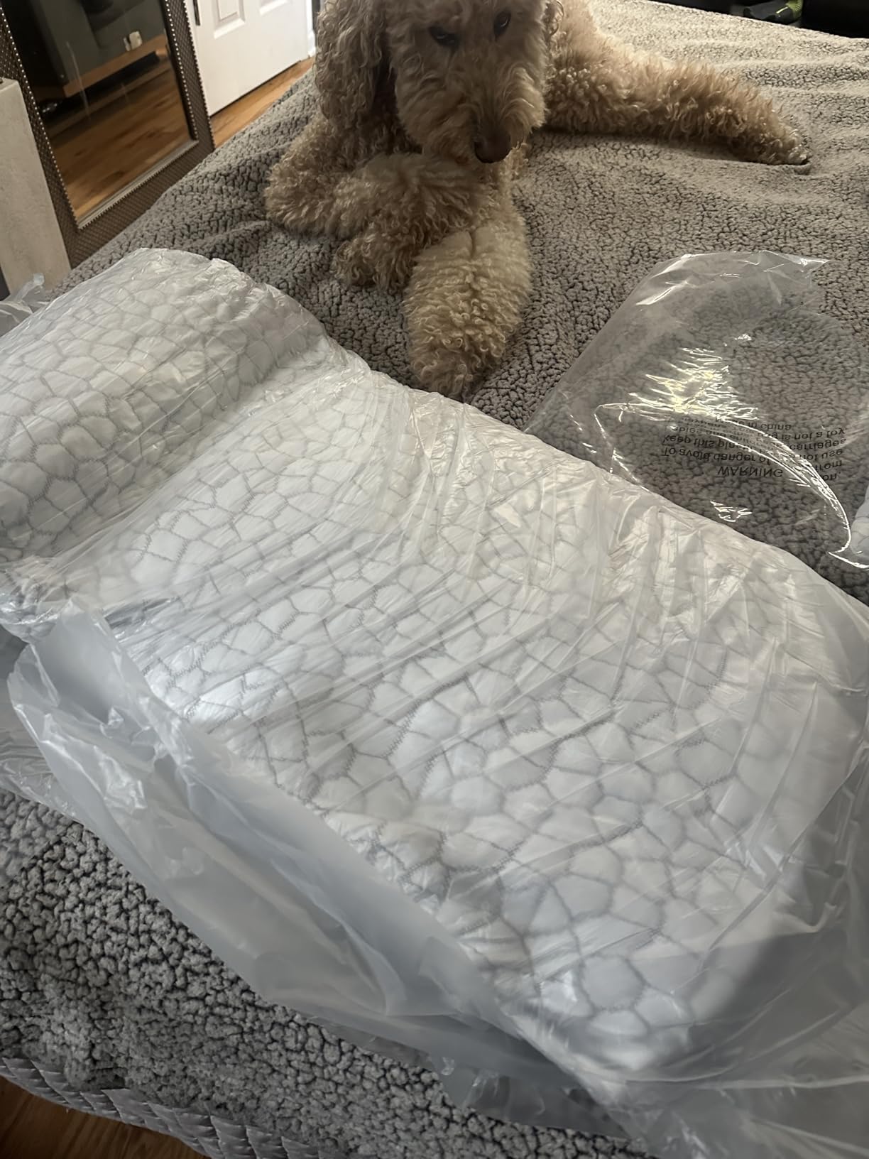 QUTOOL Cooling Pillow for Sleeping, CertiPUR-US Shredded Memory Foam Standard Pillow Set of 1, Cool Pillow for Hot Sleepers Adjustable Firm Pillow for Side,Back,Stomach Sleepers Soft Yet Support customer photo 2