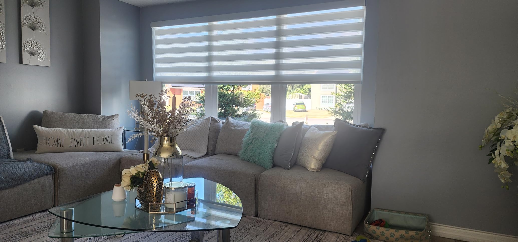 Yoolax Motorized Zebra Blinds Compatible with Alexa, Smart Dual Layer Shades with Privacy Light Control, Electric Horizontal Window Blind Customized Size for Home Office customer photo 1