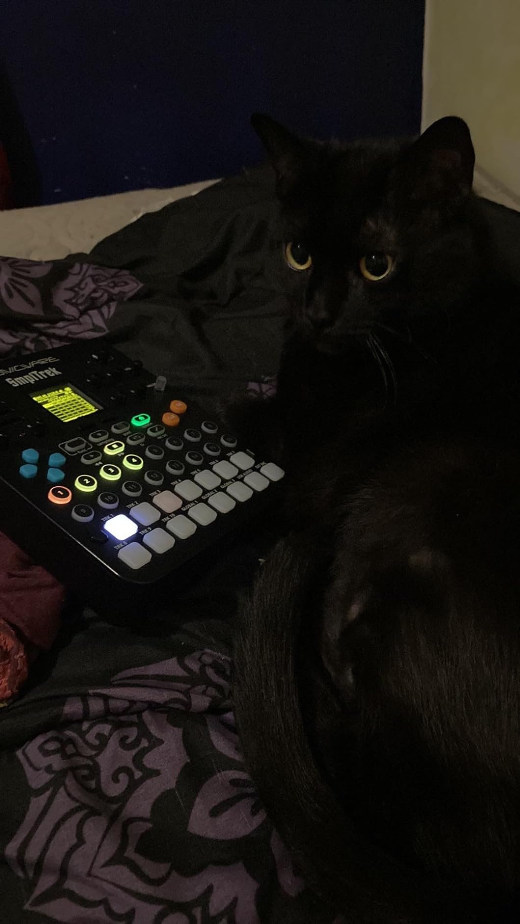 Sonicware SmplTrek Portable Production Sampler customer photo 1