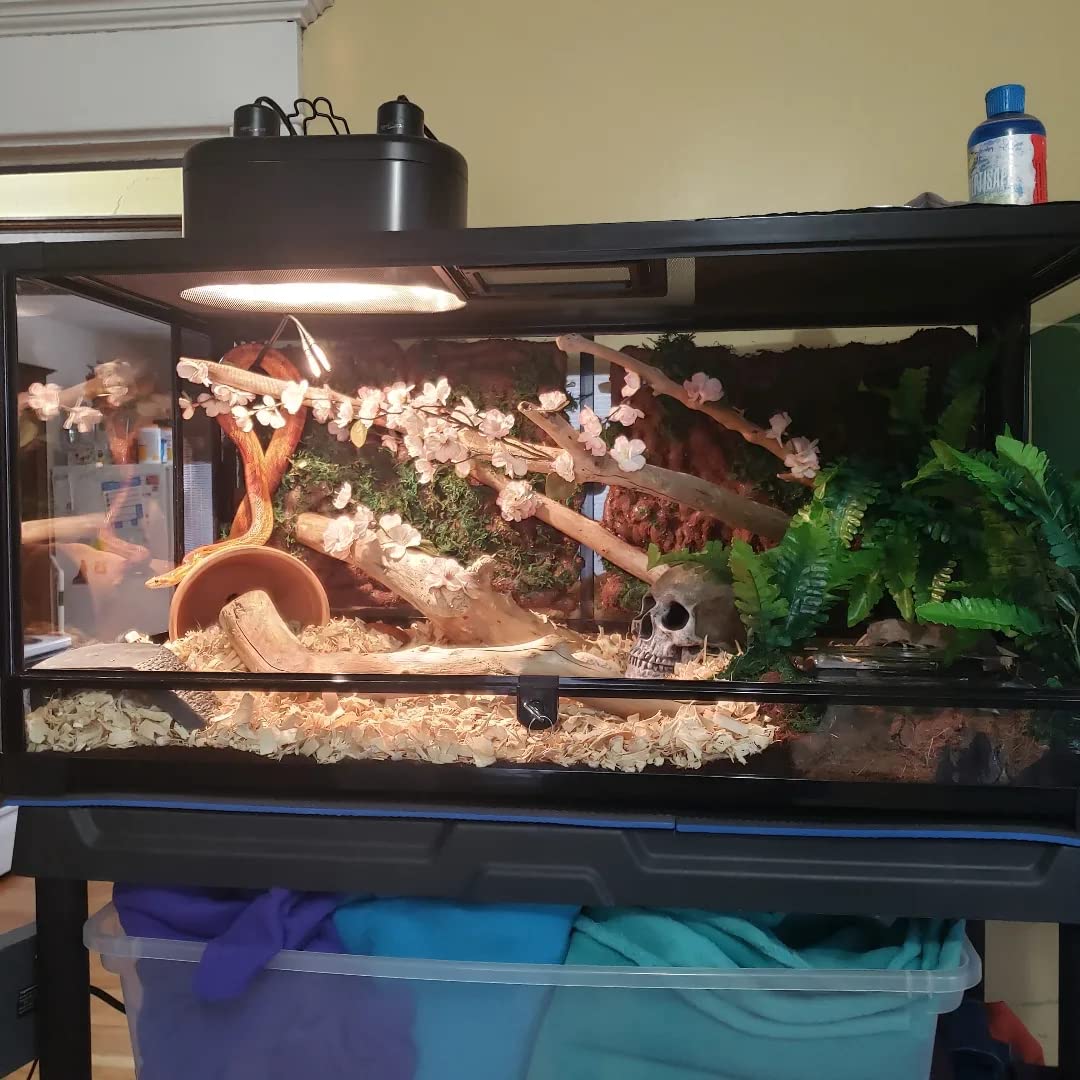 Zilla QuickBuild Reptile 40 Gallon Glass Terrarium Habitat with Swing Door For Geckos, Snakes, Lizards, Frogs, Turtles, and Tortoises, 36