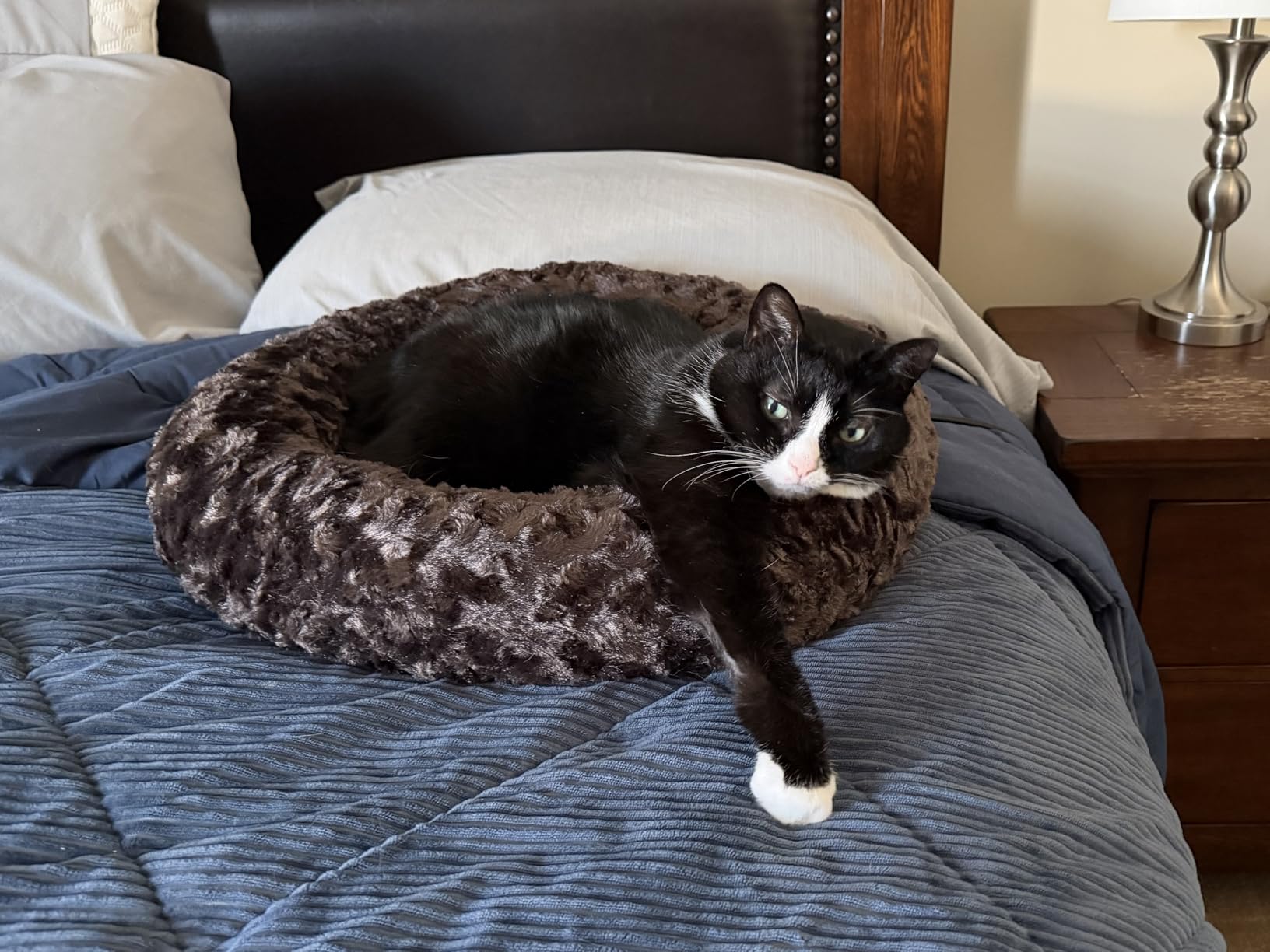 Heated Pet Beds for Indoor/Outdoor Cat & Dog Orthopedic Foam Warming Cat Beds Auto Temperature Control, Washable Cover with Waterproof Liner Thermo Kitty Electric Heating Bed customer photo 2