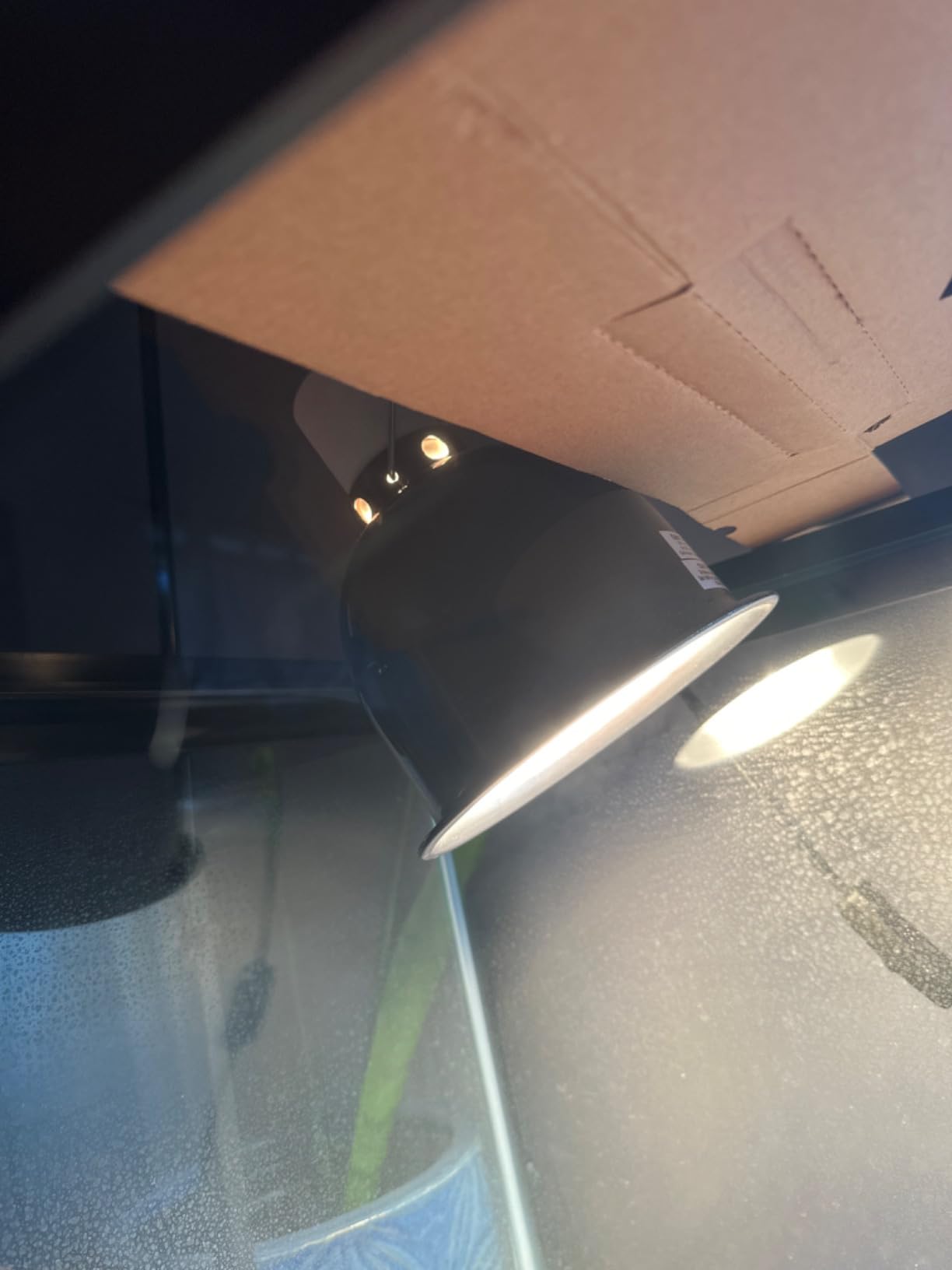 LUCKY HERP Reptile Heat Lamp - 100W (2nd Gen) Heat Lamp Bulbs for Reptiles 2 Pack, Amphibians Basking Heat Lamp Bulbs, UVA Daylight Basking Light for Reptiles, Bearded Dragon, Lizard, Turtle, Chicken customer photo 1