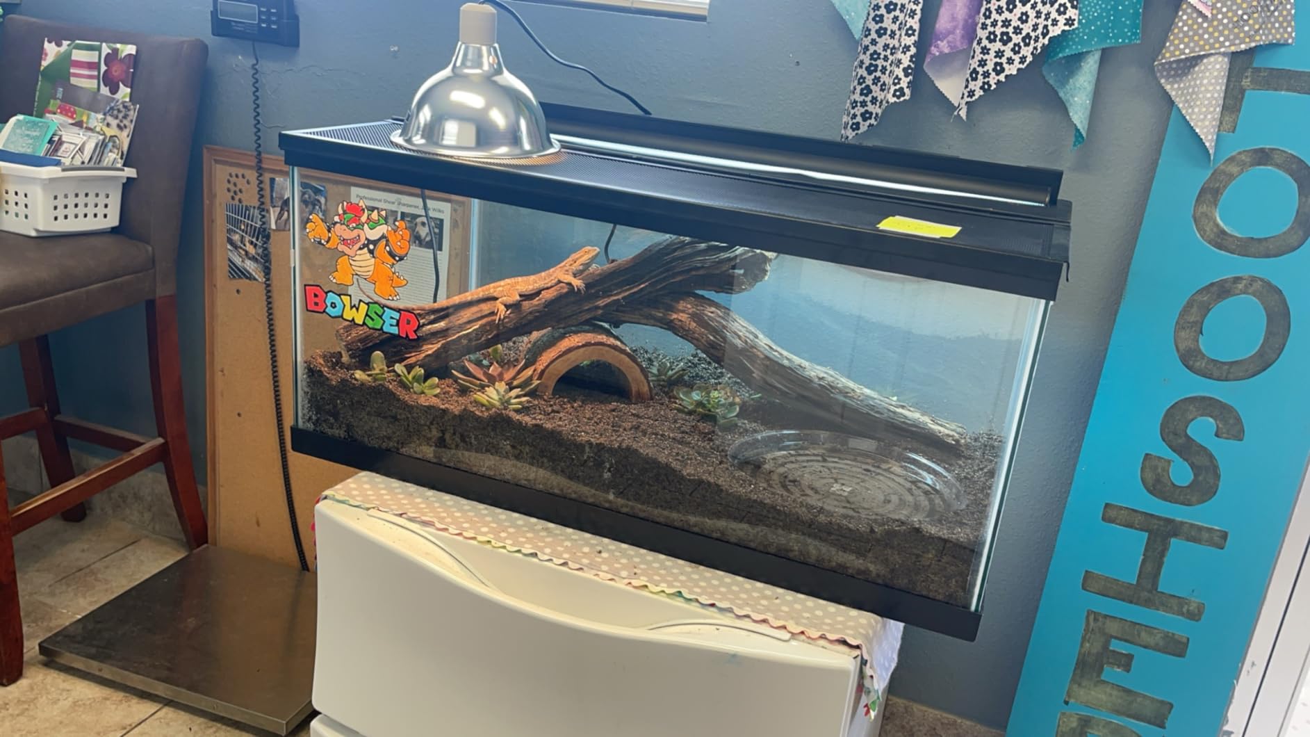 LUCKY HERP Reptile Heat Lamp - 100W (2nd Gen) Heat Lamp Bulbs for Reptiles 2 Pack, Amphibians Basking Heat Lamp Bulbs, UVA Daylight Basking Light for Reptiles, Bearded Dragon, Lizard, Turtle, Chicken customer photo 2