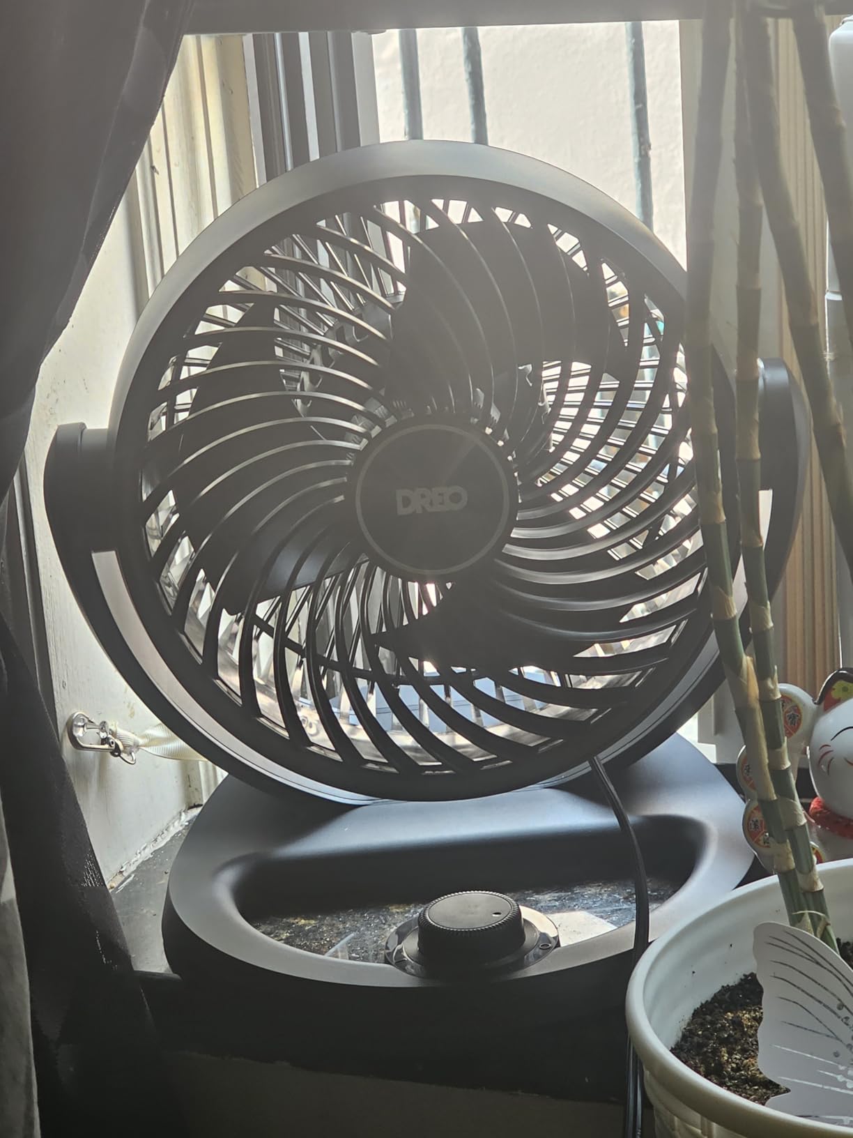 DREO Fan for Bedroom, 12 Inches, 70ft Powerful Airflow, 25db Quiet Table Air Circulator Fans for Whole Room, 120° Adjustable Tilt, 3 Speeds, Desktop Fan for Home, Office, Kitchen customer photo 1