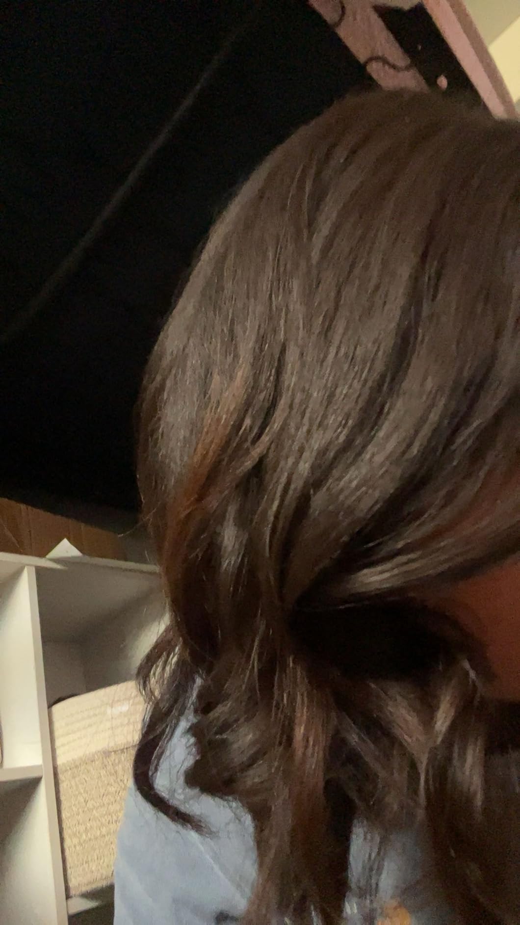 T3 SinglePass StyleMax Professional 1