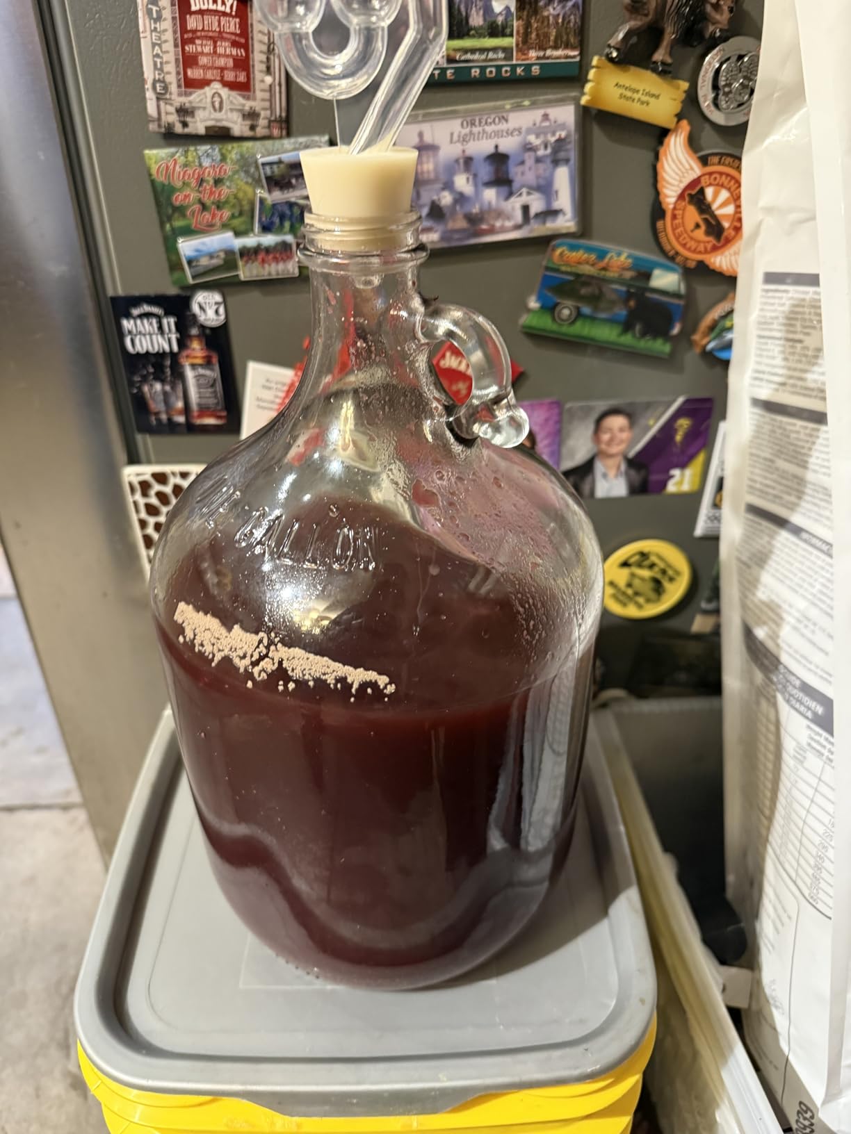 North Mountain Supply 1 Gallon Glass Fermenting Jug with Handle, #6.5 Rubber Stopper, 6-Bubble Airlock, Black Plastic Lid, 3-Pack Yeast Assortment, & 3.5 Ounce Yeast Nutrients customer photo 1