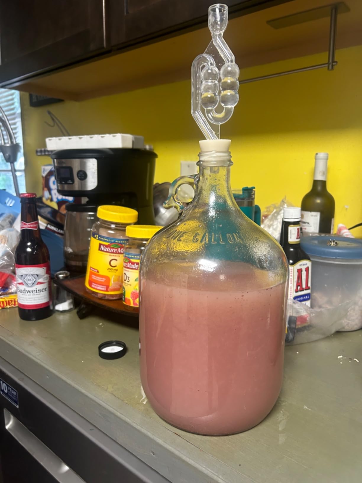 North Mountain Supply 1 Gallon Glass Fermenting Jug with Handle, #6.5 Rubber Stopper, 6-Bubble Airlock, Black Plastic Lid, 3-Pack Yeast Assortment, & 3.5 Ounce Yeast Nutrients customer photo 2