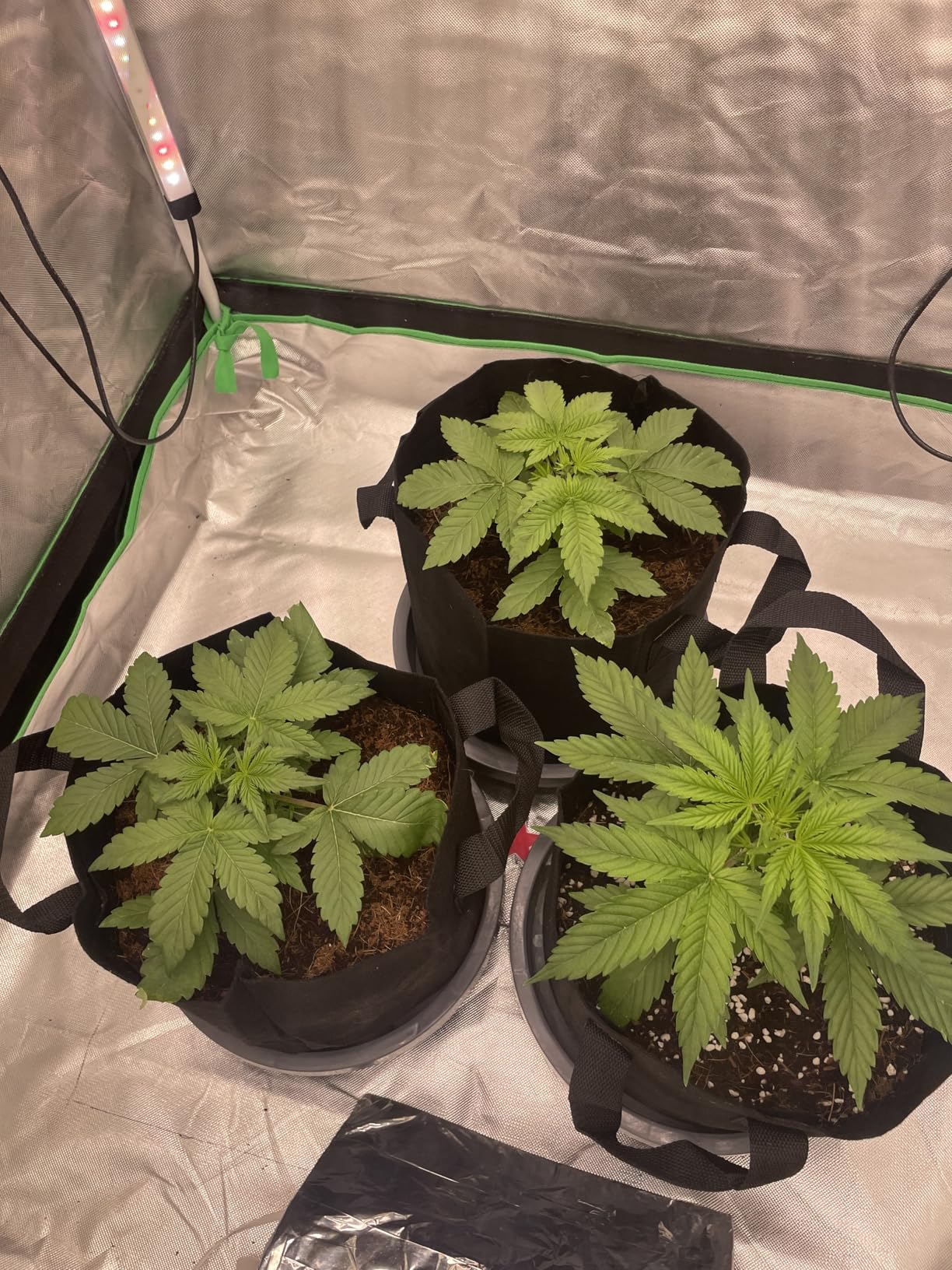 Quantum PAR Meter Full-Spectrum High Precision PPFD Tester for Photosynthetic Activity 400-700nm customer photo 1