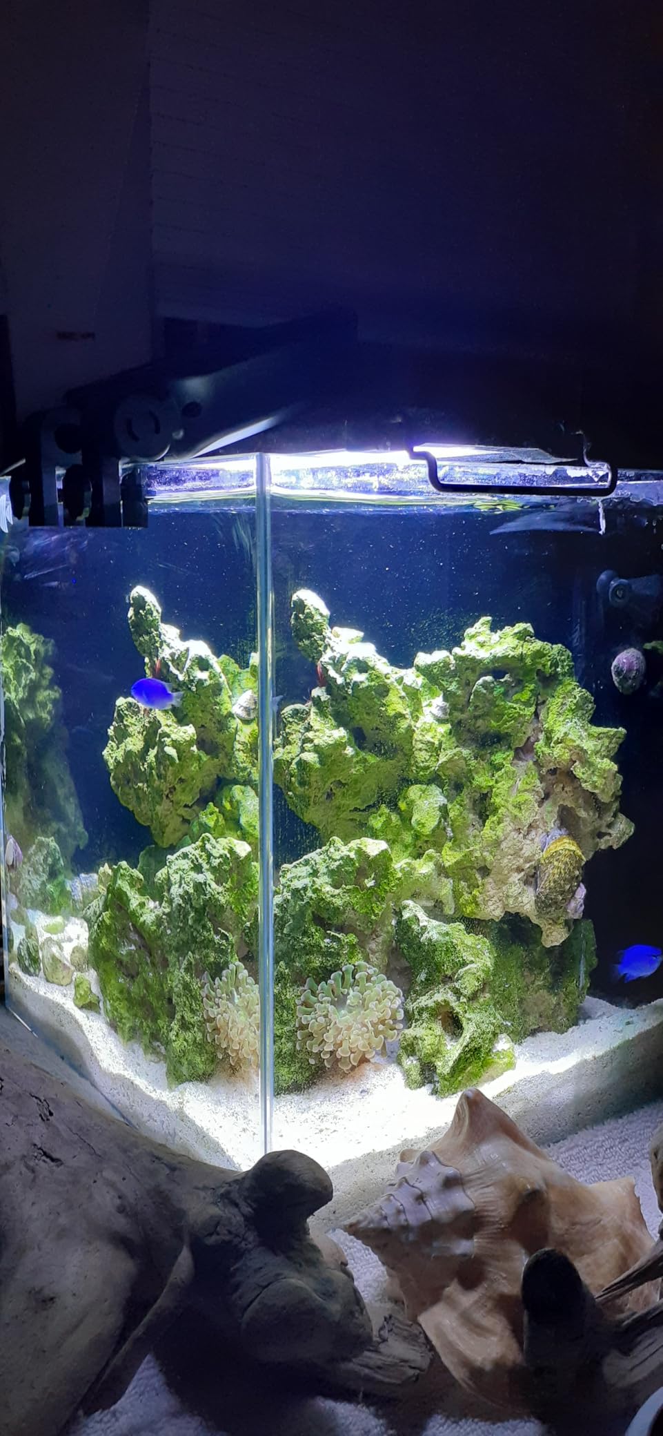 hygger Aquarium Chillers Fan, Quiet Fish Tank Cooling Fan Equipment with Adjustable Speed Controller, Suitable for Freshwater Saltwater Tanks(3-Fan Head) customer photo 1