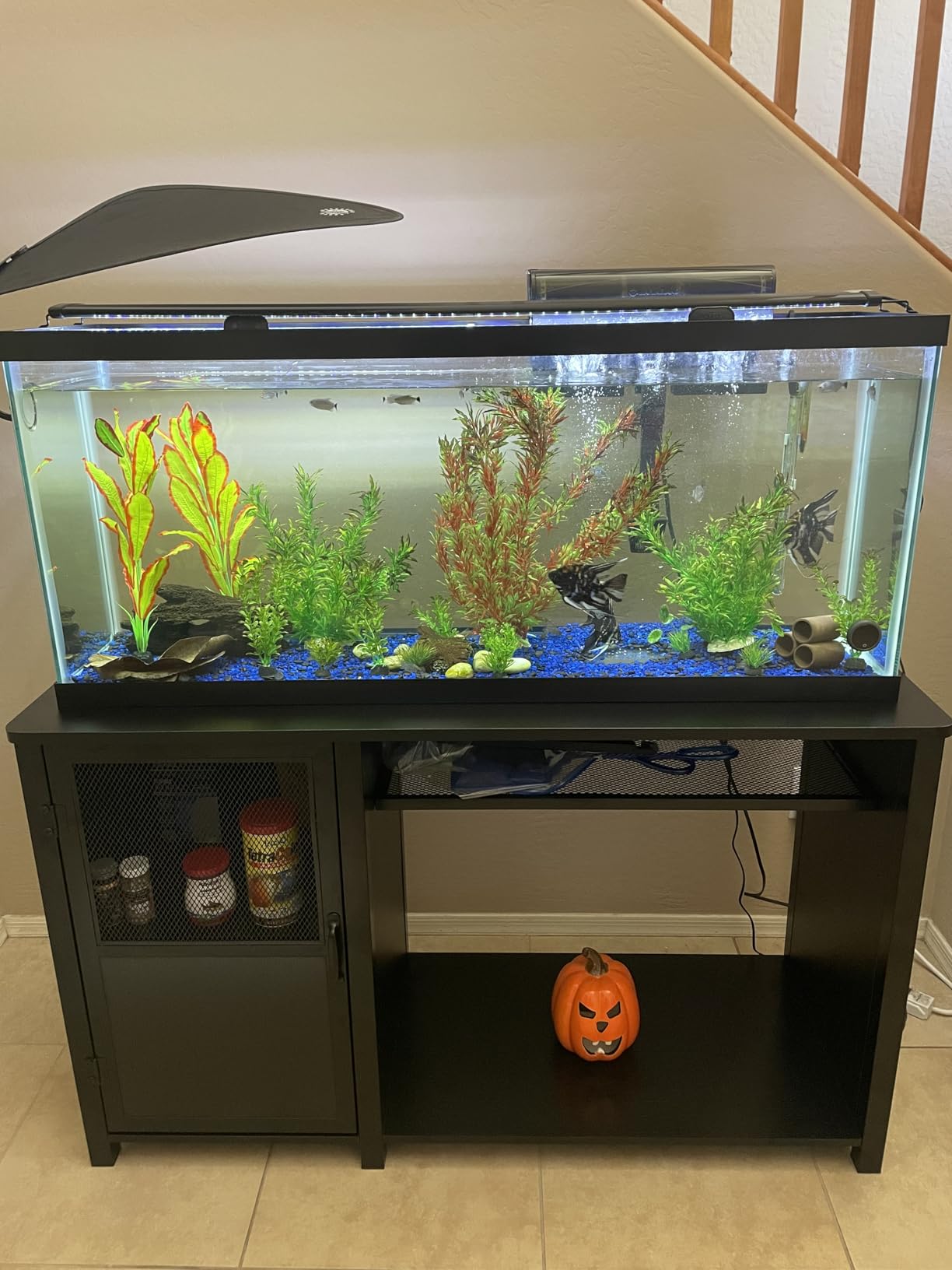 55-75 Gallon Fish Tank Stand, Aquarium Stand with Cabinet Storage and Heavy Duty Metal Frame, 52