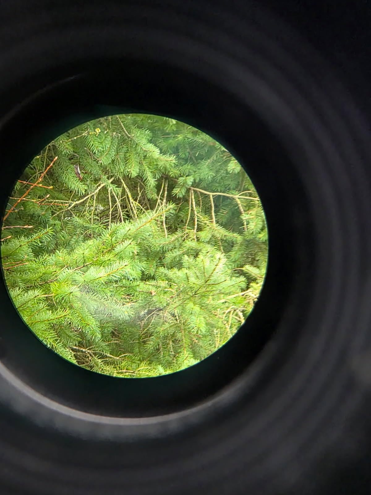 REDTIGER Golf Rangefinder with Slope Switch, 1200 Yards Range Finder Golfing, 7X Magnification, Flag Pole Locking Vibration, Rechargeable Range Finders with Magnet Stripe, GolfVue Series 1 customer photo 1