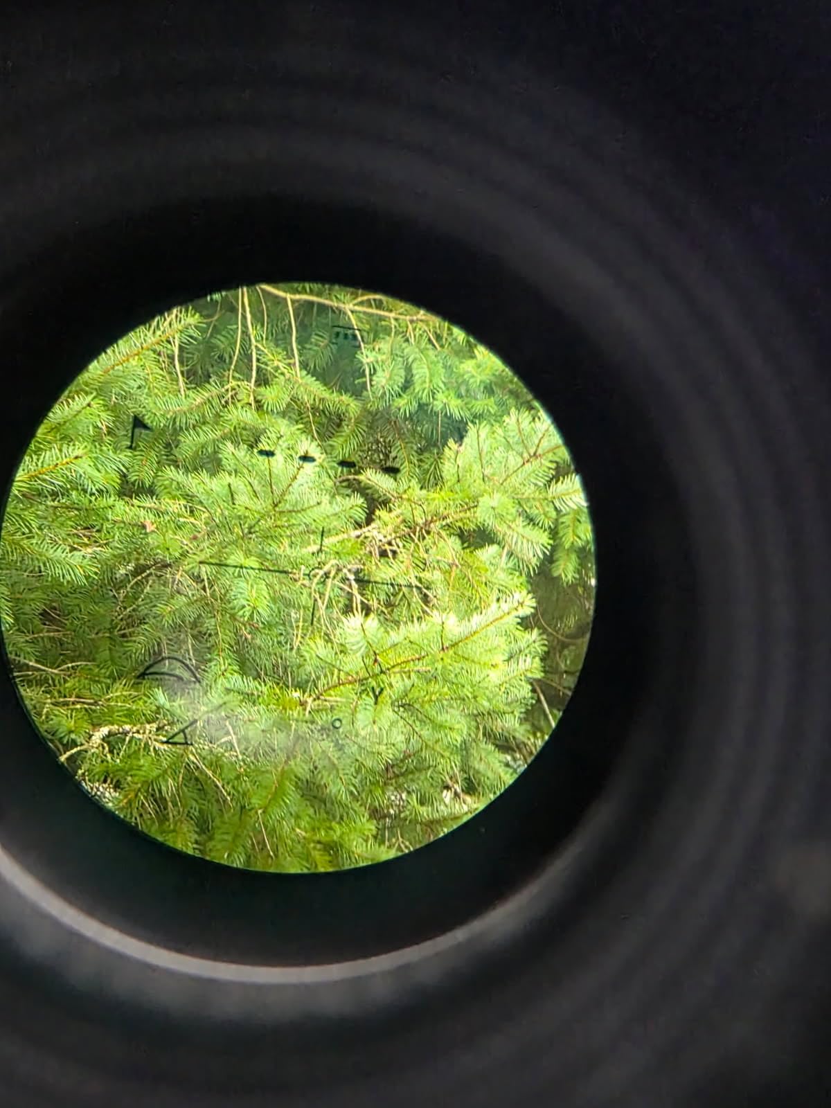 REDTIGER Golf Rangefinder with Slope Switch, 1200 Yards Range Finder Golfing, 7X Magnification, Flag Pole Locking Vibration, Rechargeable Range Finders with Magnet Stripe, GolfVue Series 1 customer photo 2