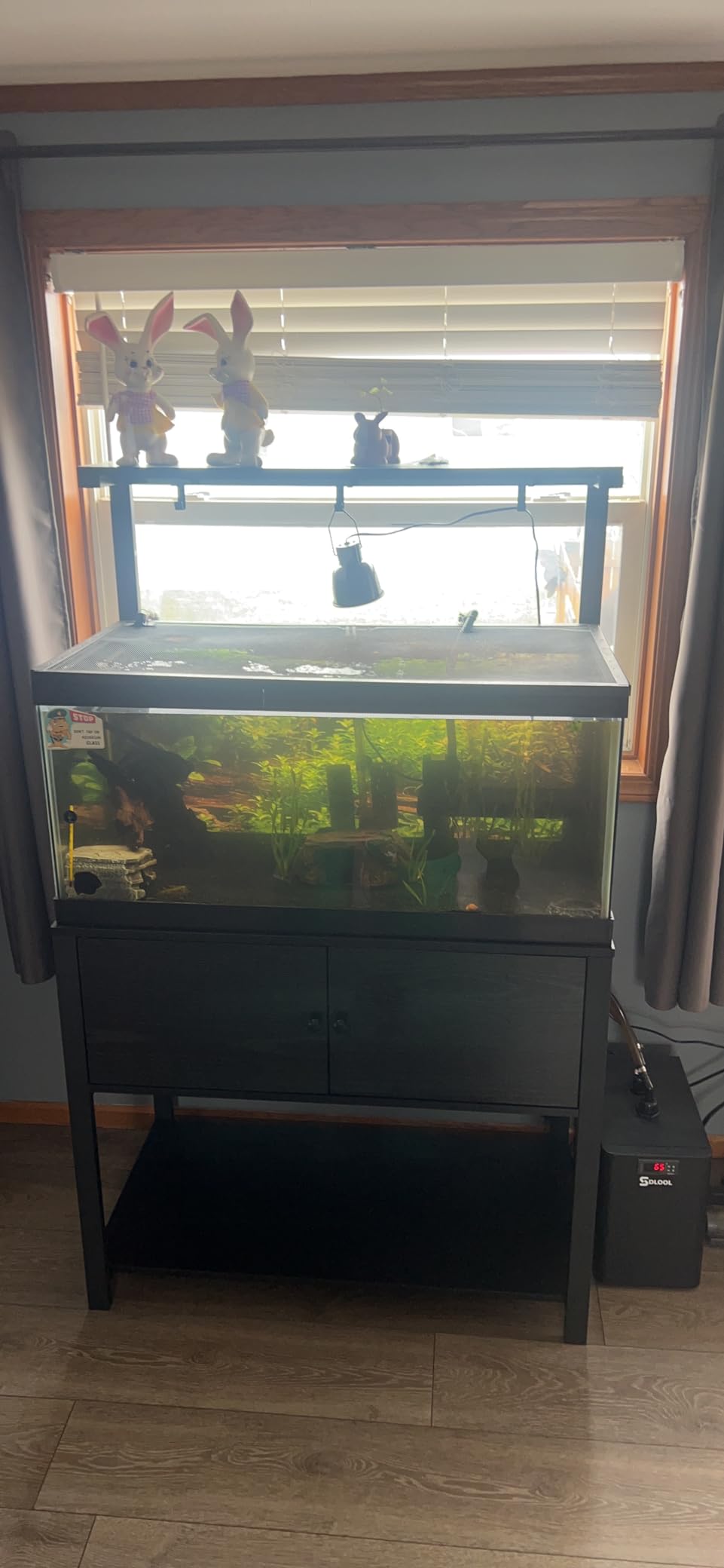 Aquarium Chiller 42gal, 1/10 HP Water Chiller 160L Fish Tank Hydroponics Cooling System with Quiet Design Refrigeration Compressor for Water Weeds Axolotl Jellyfish Coral Shrimp customer photo 2