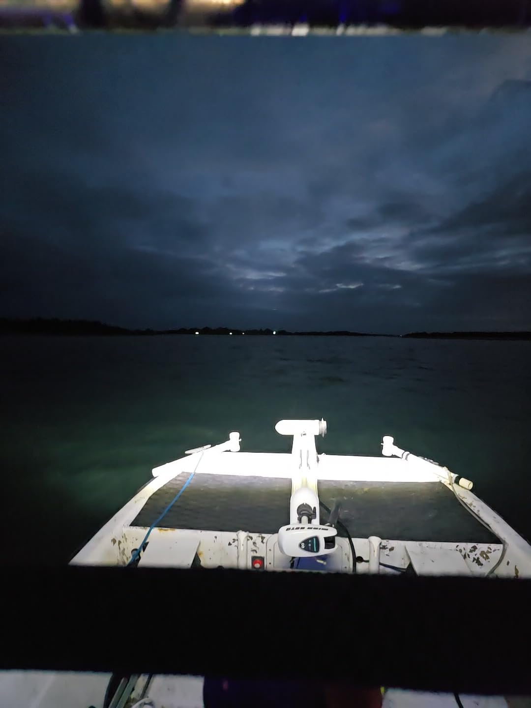 BIGLION.X 12 inch White LED Light Bar - 100W 11000LM Single Row Marine Light Bar customer photo 1