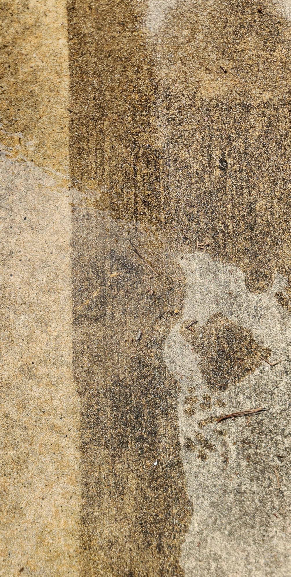 Westinghouse Universal 15