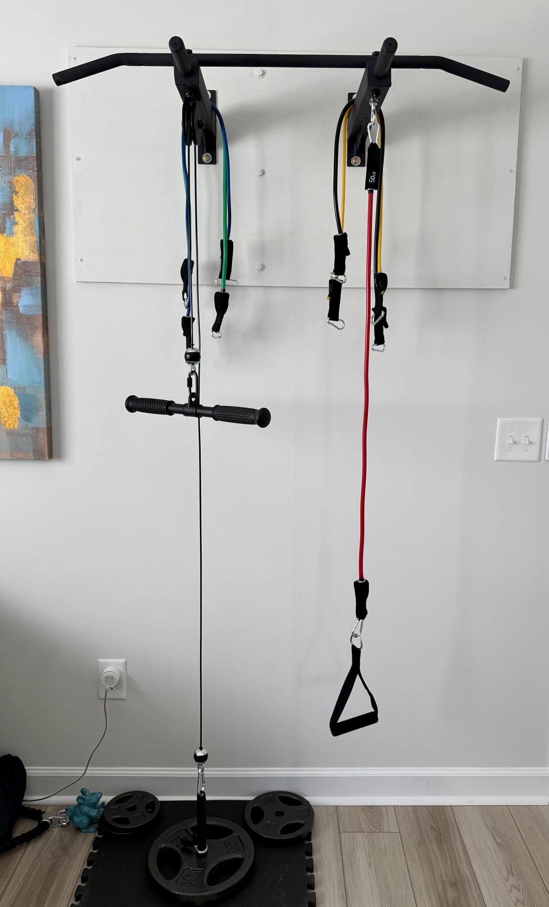 LIONSCOOL Multifunctional Wall Mounted Pull Up Bar with Pulley System, 48