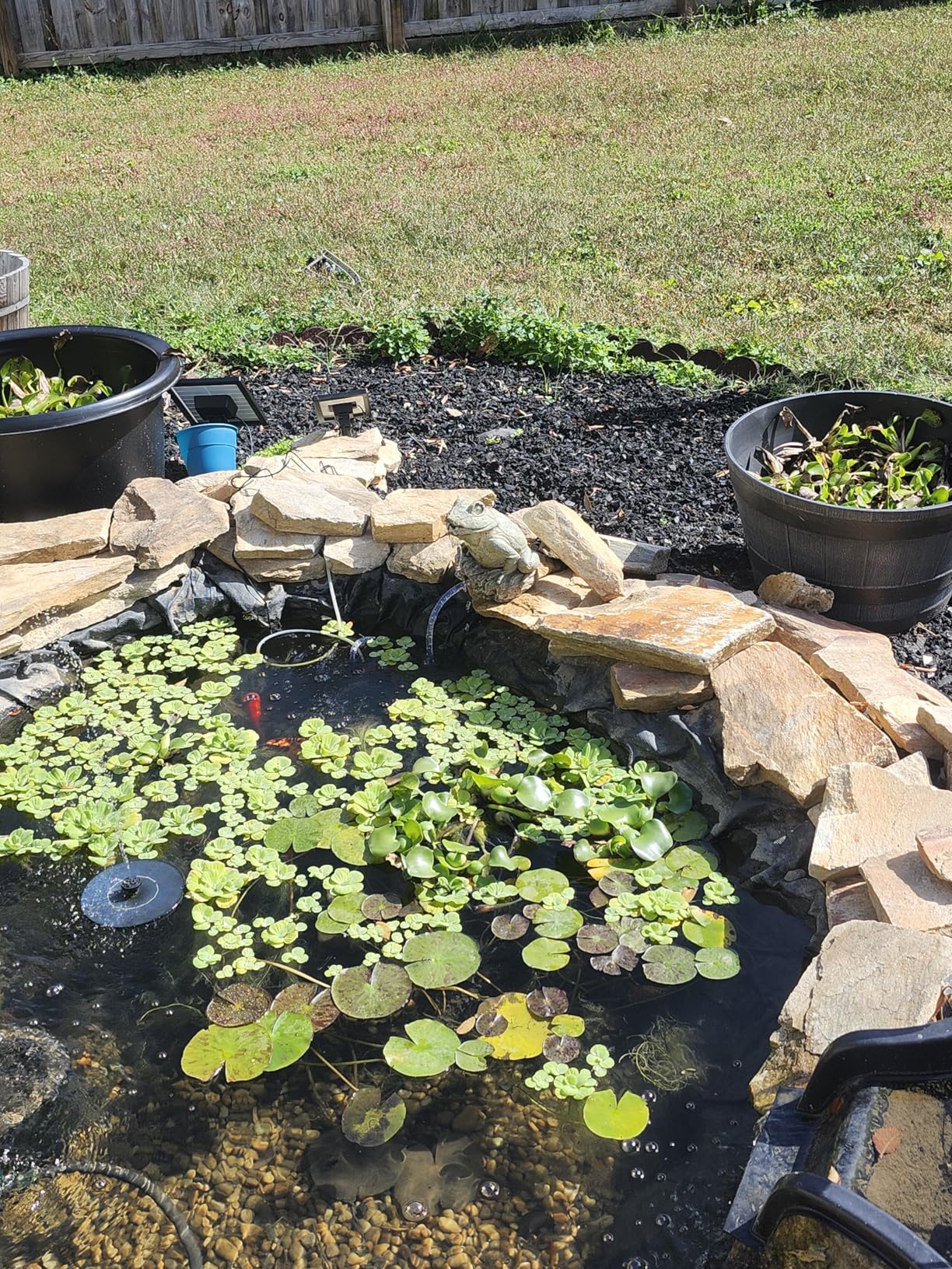 Biling Solar Aerator for Pond with 2200 mAh Battery Backup, 3 Modes Solar Air Pump Hydroponics Air Pump, Solar Powered Pond Aerator Pond Bubbler for Outdoor Fish Pond Stock Tank Aquarium customer photo 1