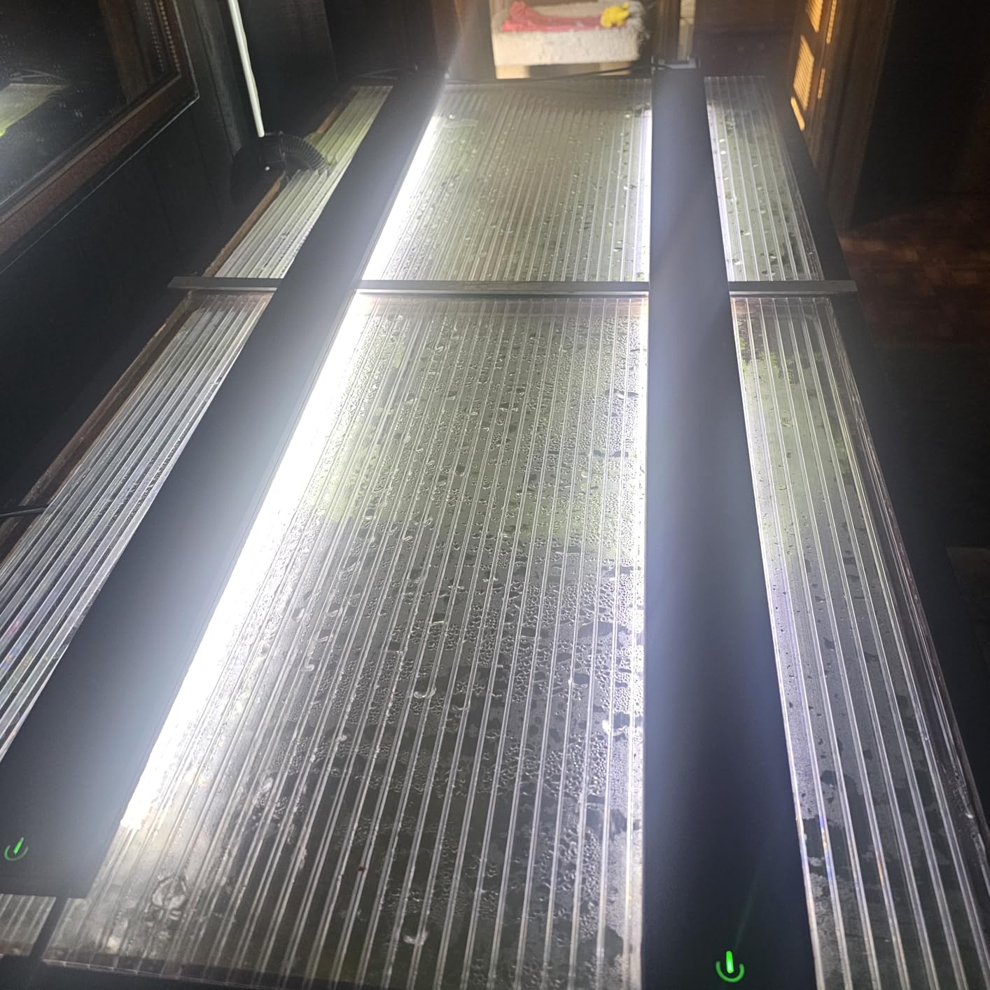 Hotop 6 Pcs Polycarbonate Greenhouse Panels Double Layer Polycarbonate Panels Waterproof UV Protected Sheet (4' X 2' X 0.24') customer photo 2