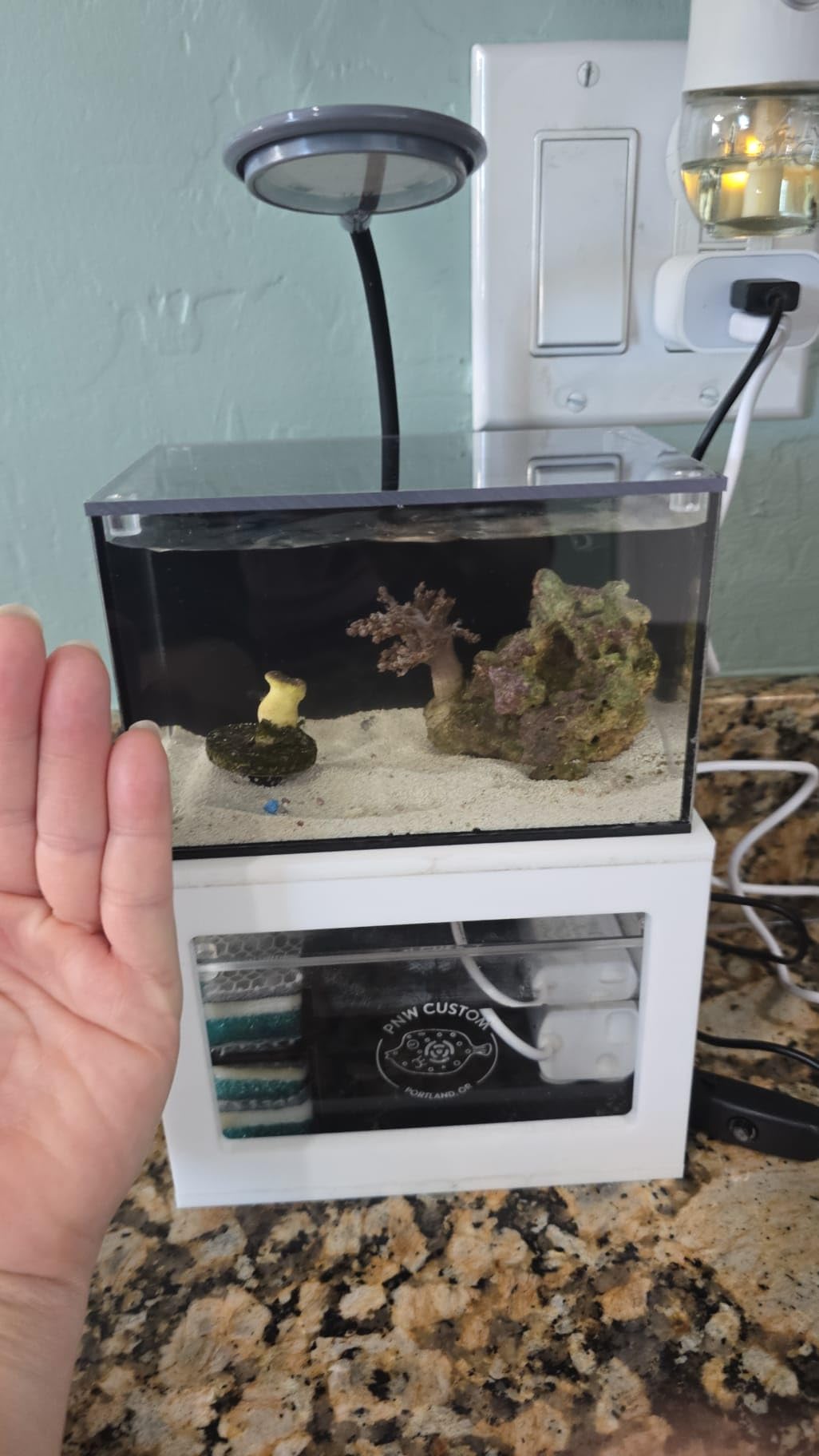 40 oz Micro Reef Ready Aquarium | Small Desktop Saltwater Fish Tank with LED Light, Sump, Pump | Freshwater & Saltwater customer photo 1