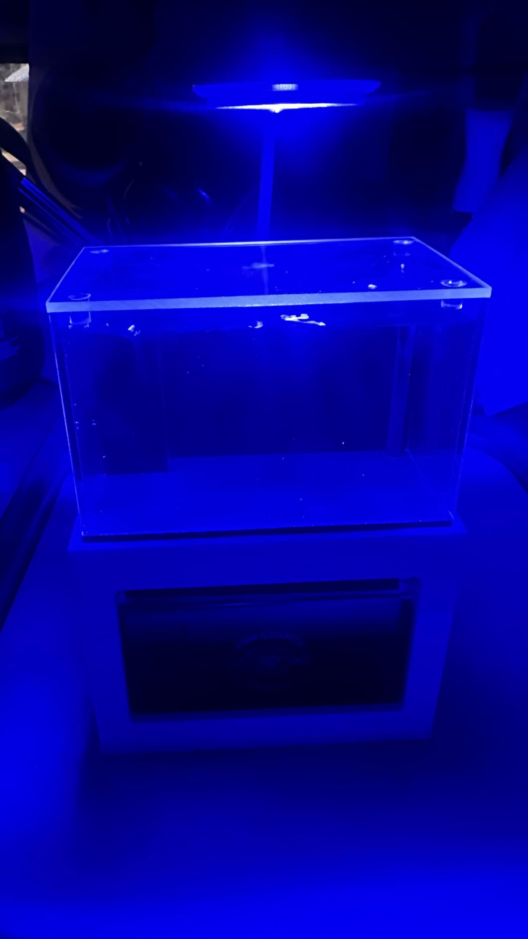 40 oz Micro Reef Ready Aquarium | Small Desktop Saltwater Fish Tank with LED Light, Sump, Pump | Freshwater & Saltwater customer photo 2