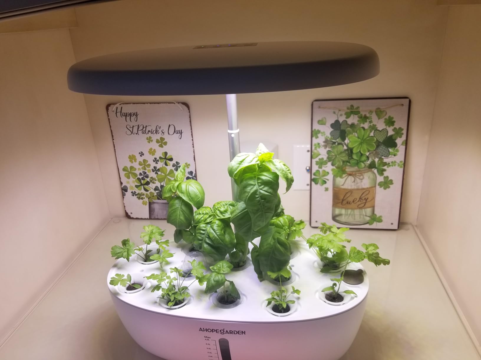 Ahopegarden Indoor Garden Hydroponics Growing System: 12 Pods Plant Germination Kit Garden Kit Growth Lamp Countertop with LED Grow Light Hydrophonic Planter Grower Harvest Vegetable Lettuce customer photo 1