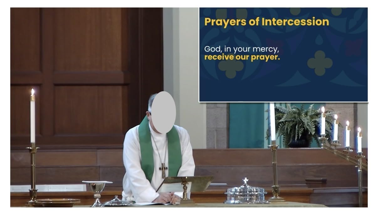 TONGVEO Conference Room PTZ Camera System with 20X Optical Zoom, AI Auto Tracking 1080P 60fps HDMI USB Webcam for Church Streaming Online Video Conference,Compatible with Zoom, OBS Easy Setup customer photo 1