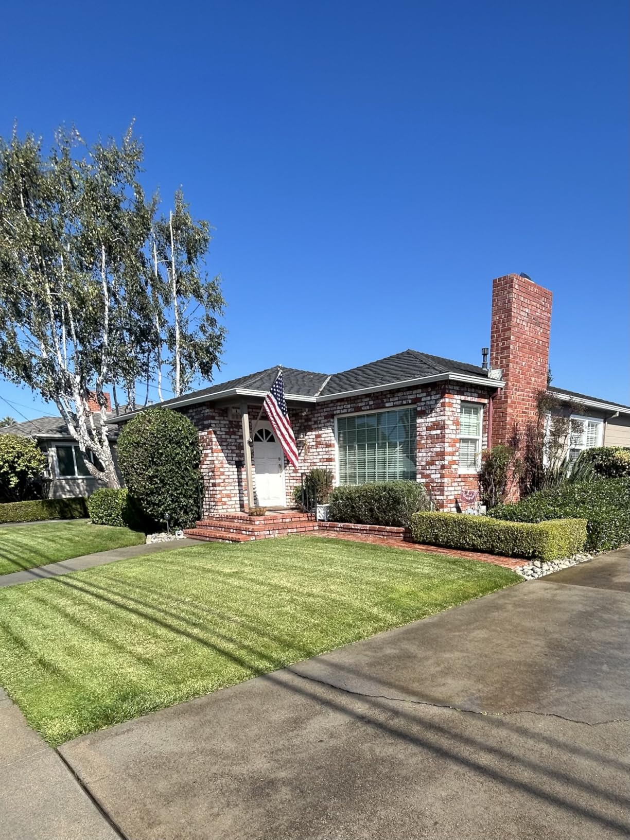 Alloyman 20V 2-in-1 Cordless Pole & Handheld Hedge Trimmer, Electric Hedge Trimmer with 2 Packs 4.0Ah Battery & Charger, 8.5-Feet Reach, 11 Rotating Head customer photo 2