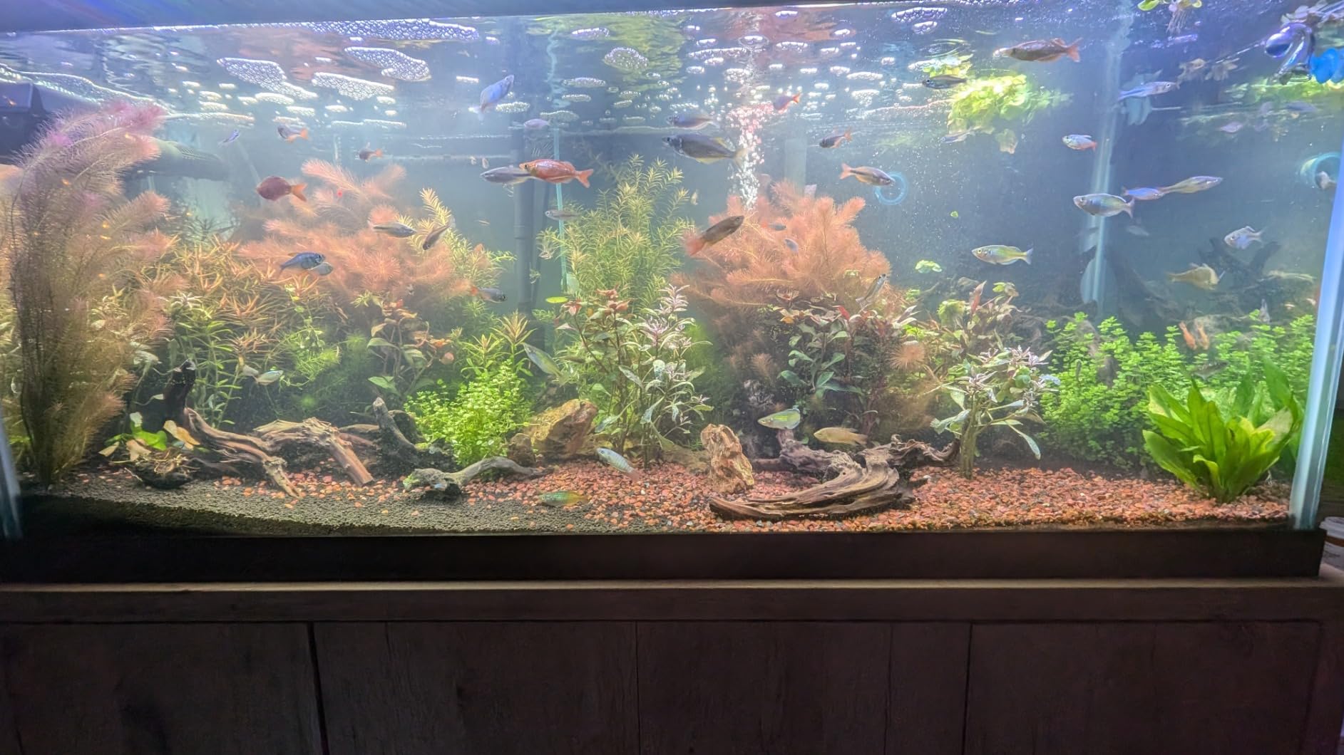 Aquarium Wave Maker - Adjustable Cross Flow Pump with LED Display Controller, Magnetic DC 24V Powerhead for Freshwater & Marine Reef Aquariums Up to 265 Gallon (25W) customer photo 1