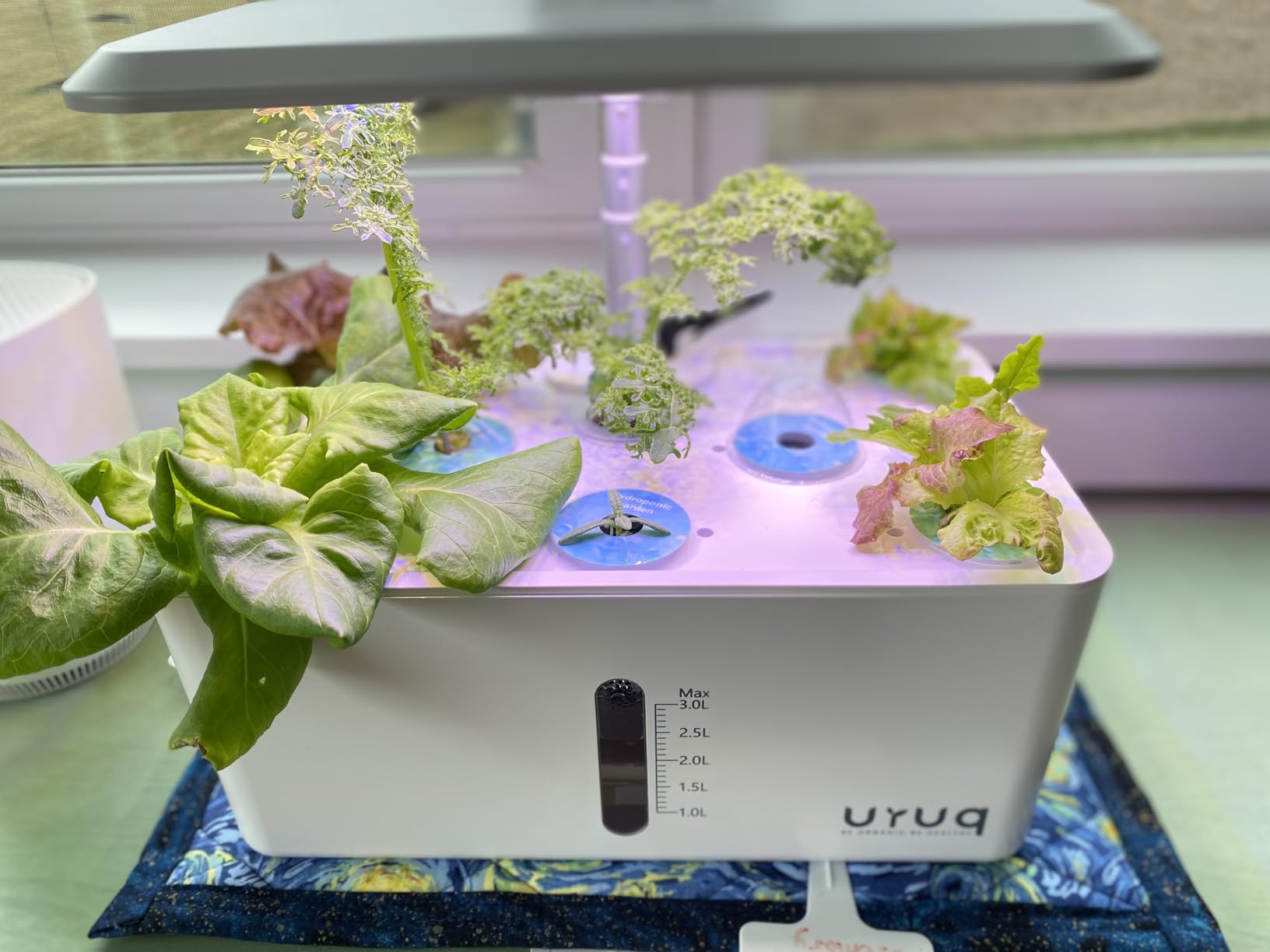 Hydroponics Growing System Indoor Garden: 8 Pods Herb Garden Kit Indoor with LED Grow Light Quiet Smart Water Pump Automatic Timer customer photo 1