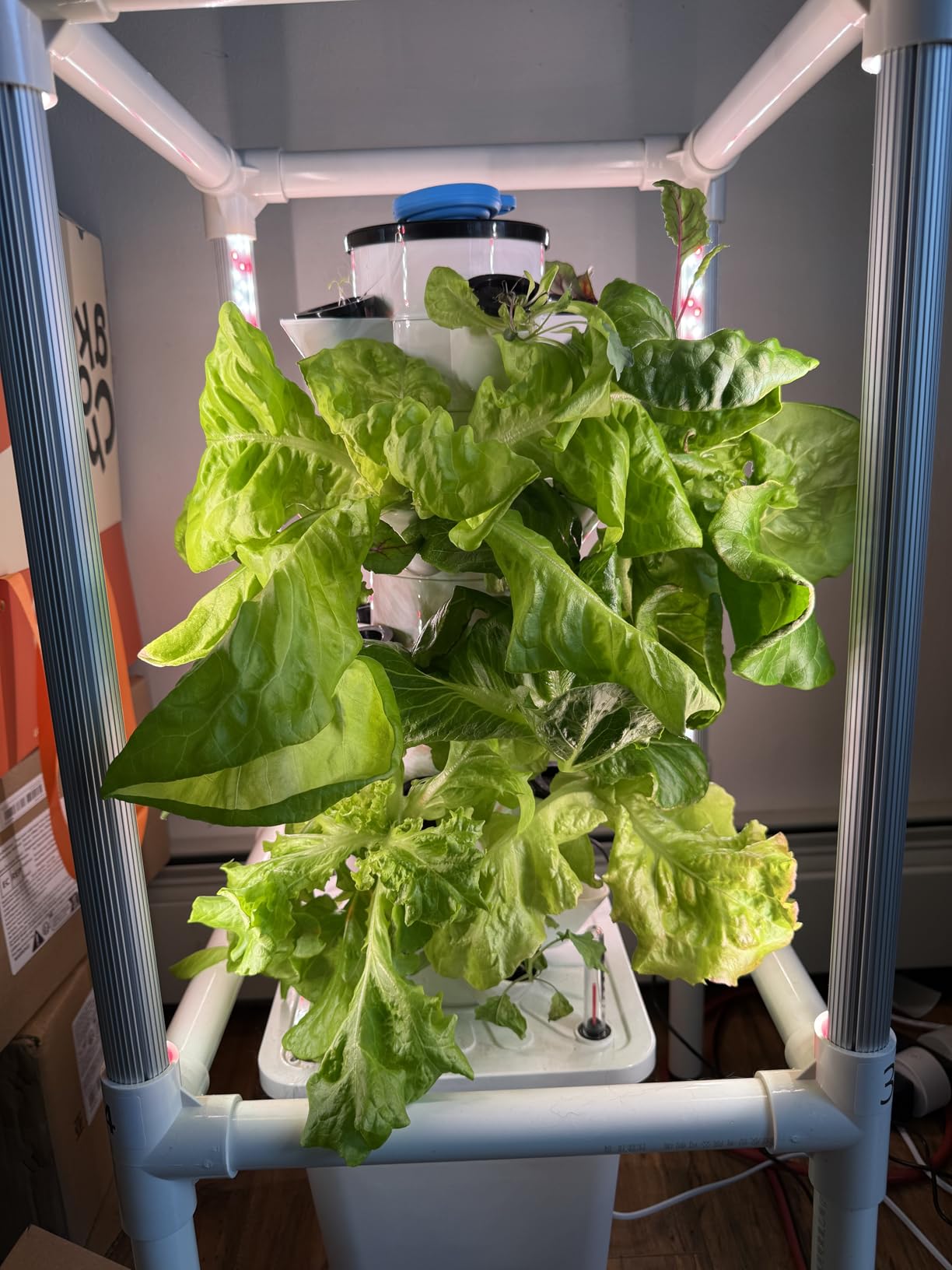 SJZX Hydroponics Growing System with Full-Spectrum Grow Lights (25 Pods) customer photo 1